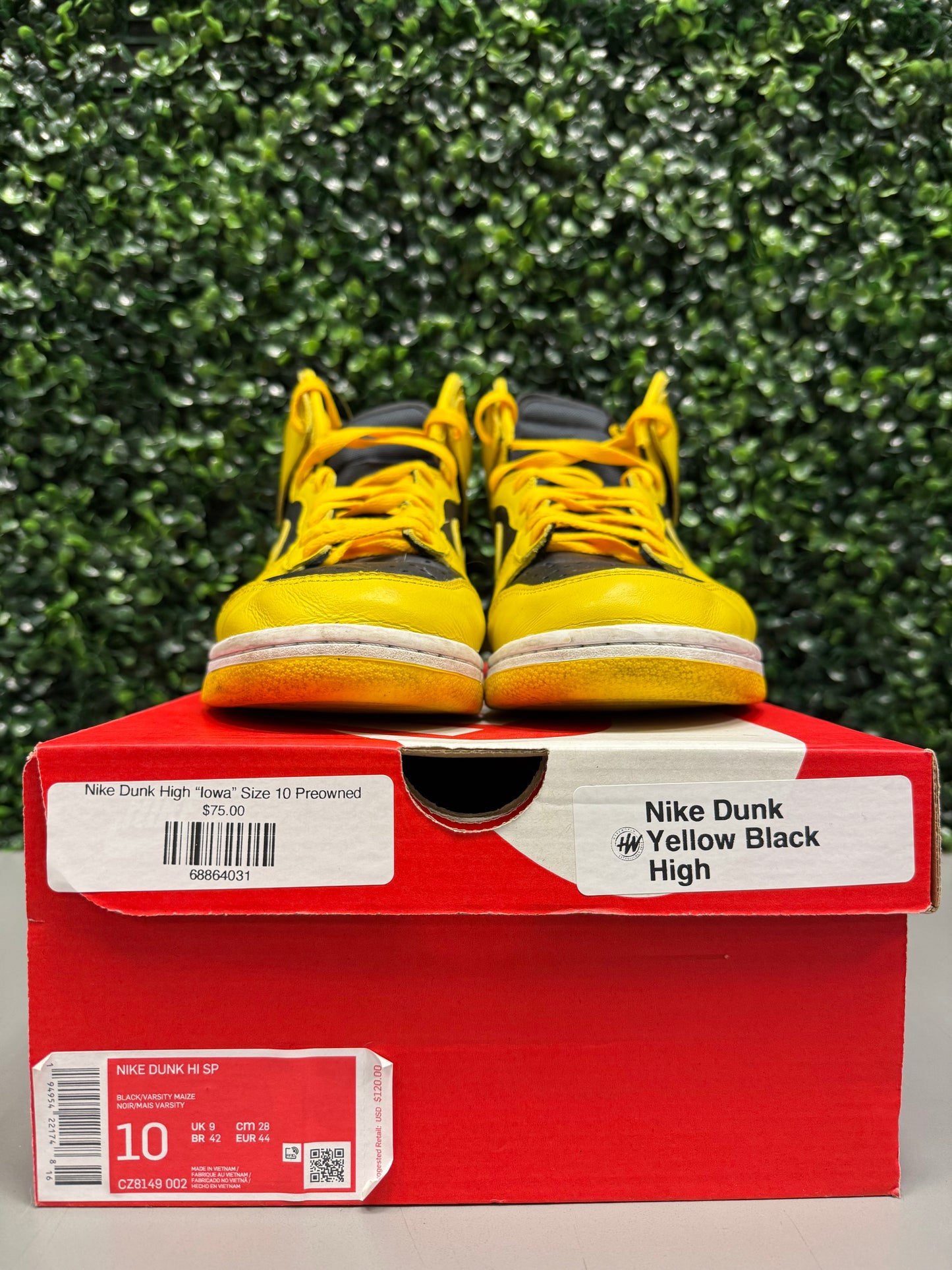 Nike Dunk High “Iowa” Size 10 Preowned