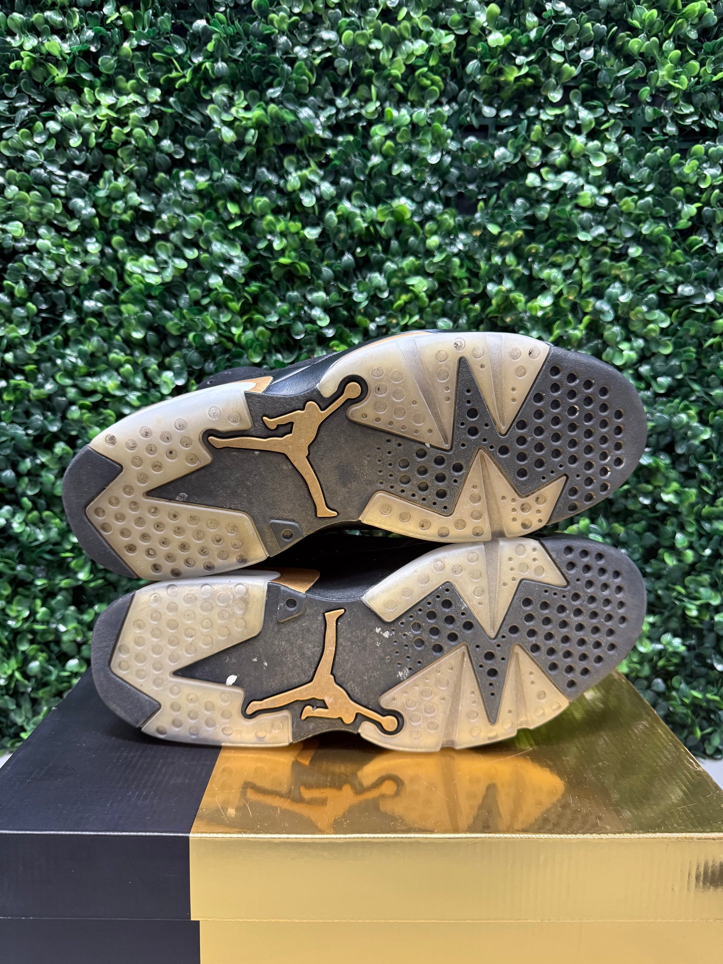 Jordan 6 "DMP" Size 10.5 Preowned