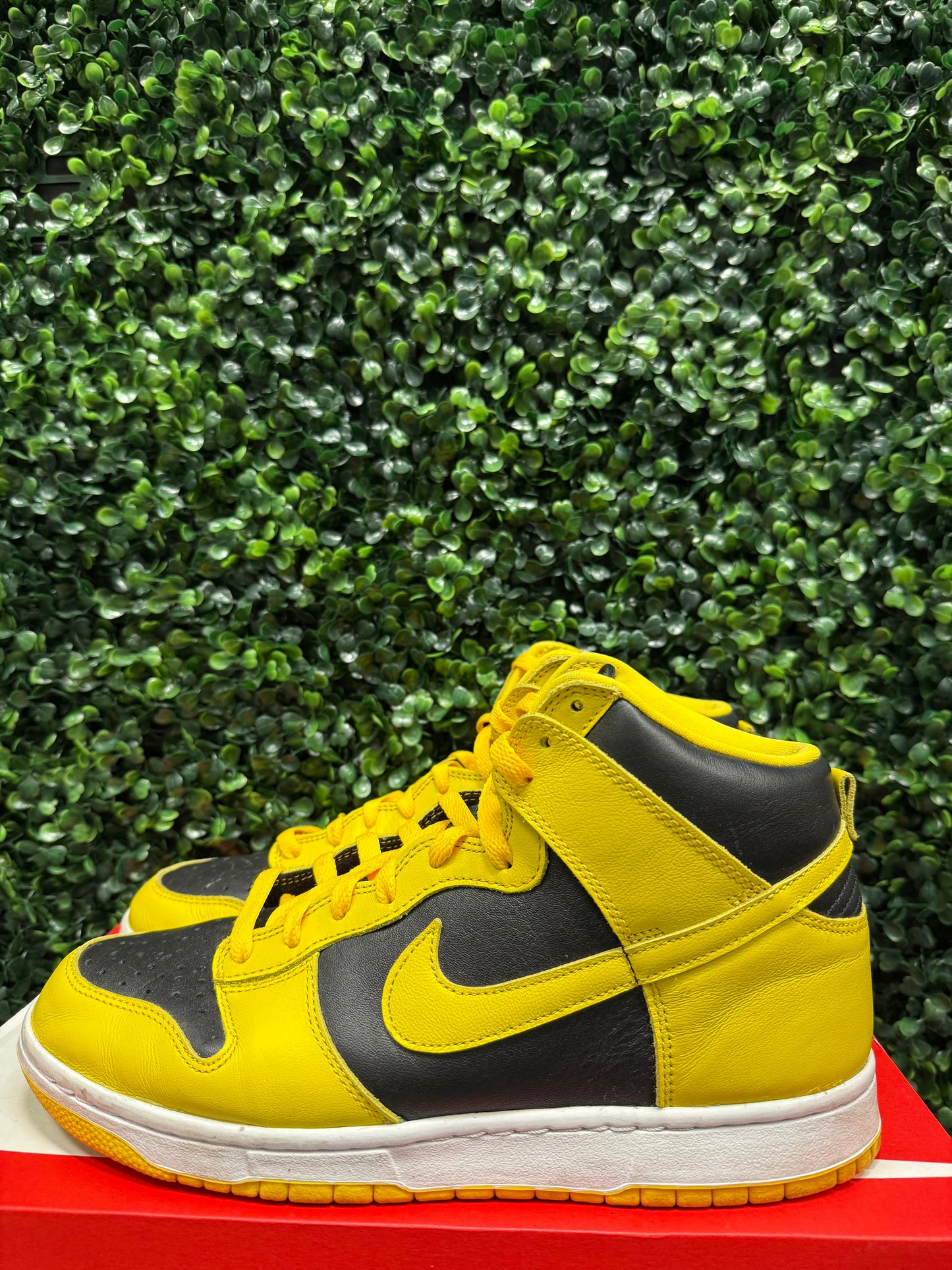 Nike Dunk High “Iowa” Size 10 Preowned