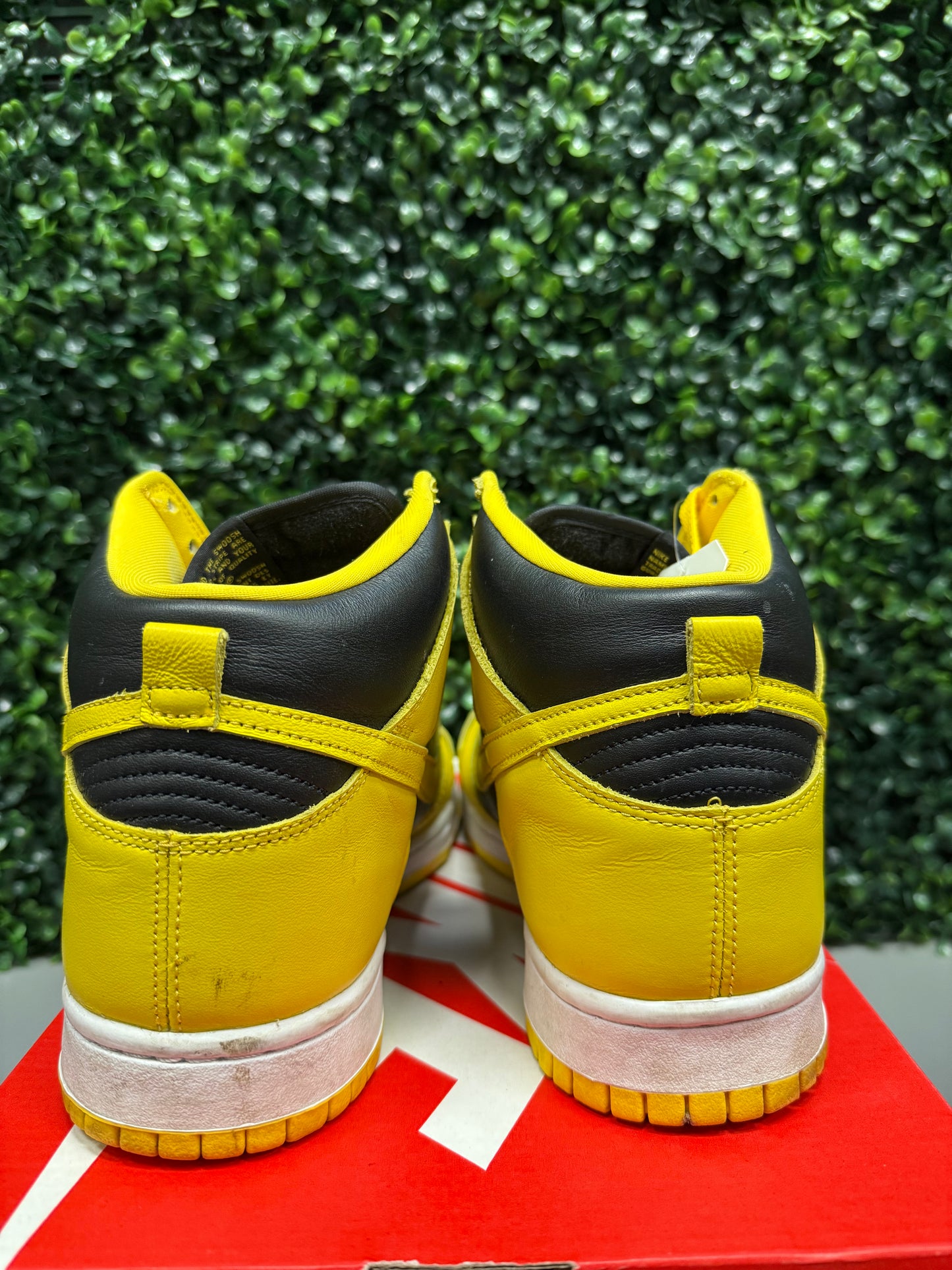 Nike Dunk High “Iowa” Size 10 Preowned