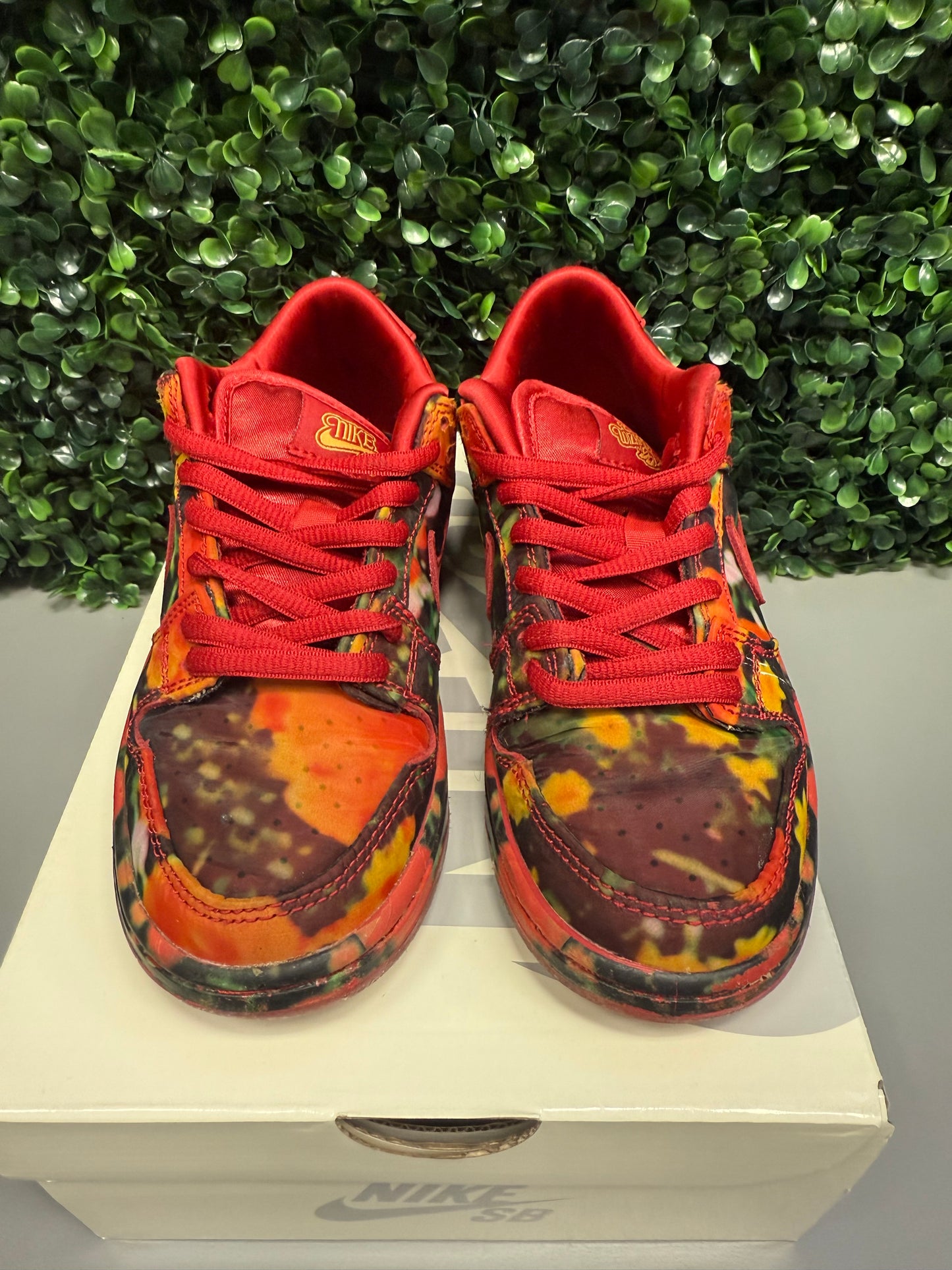 SB Dunk Low "Wizard of Oz" Size 13c Preowned