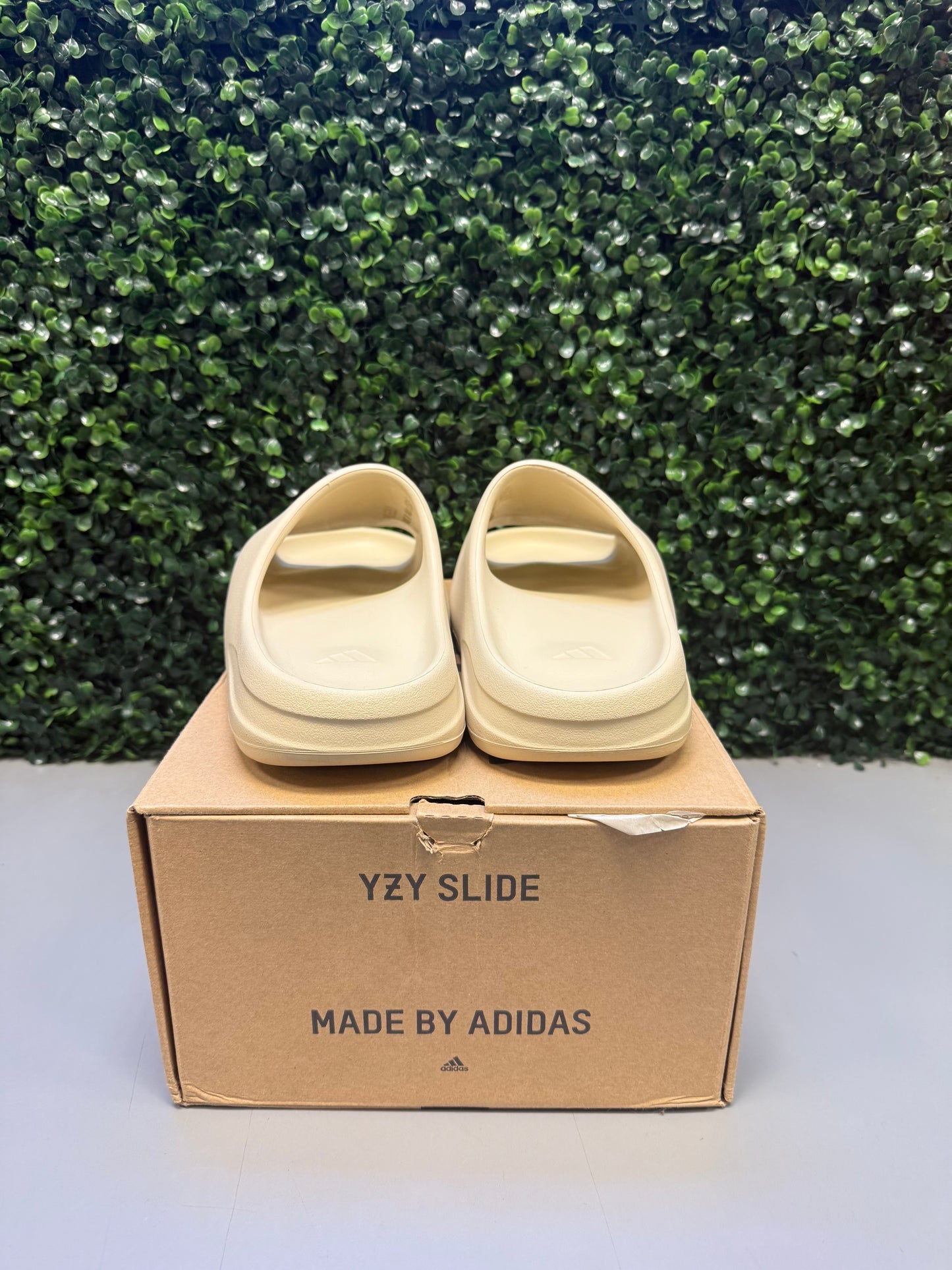 Yeezy Slide "Bone" Size 13 Preowned