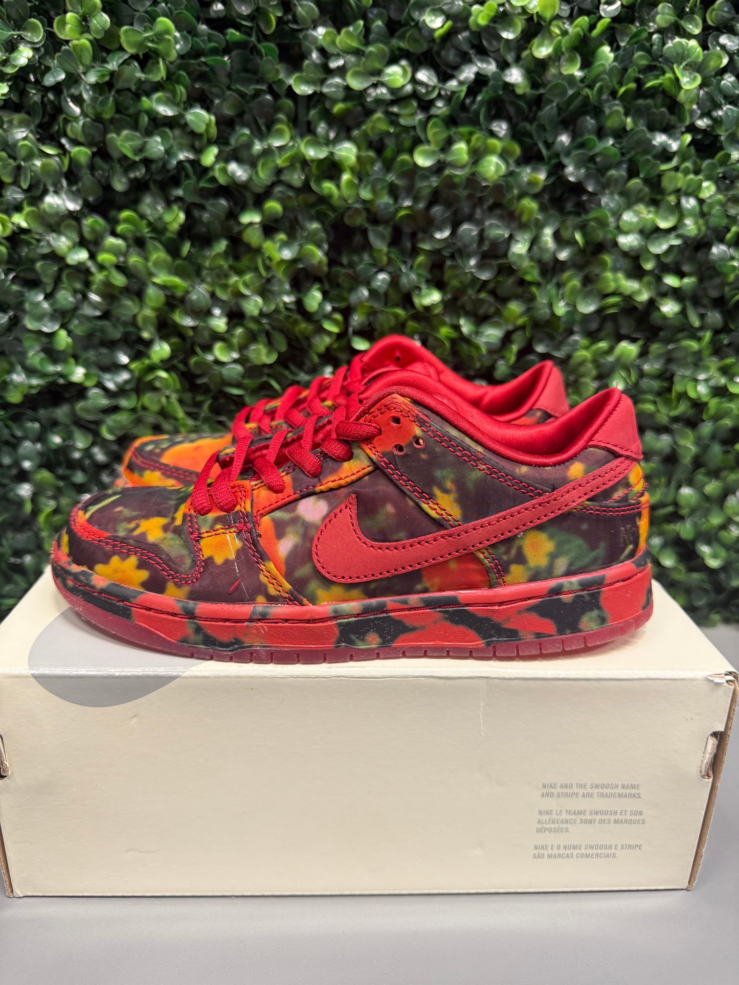 SB Dunk Low "Wizard of Oz" Size 13c Preowned