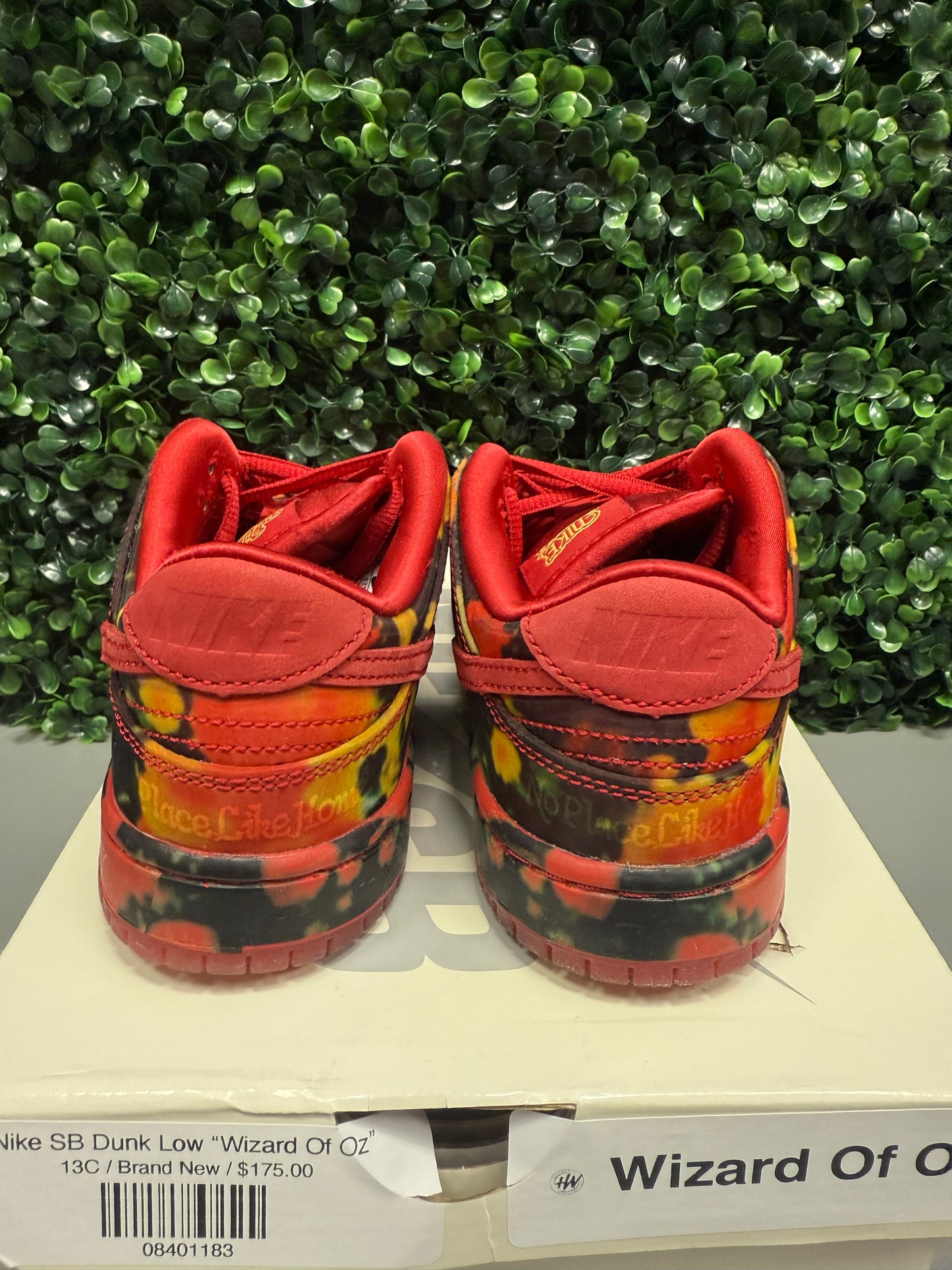 SB Dunk Low "Wizard of Oz" Size 13c Preowned