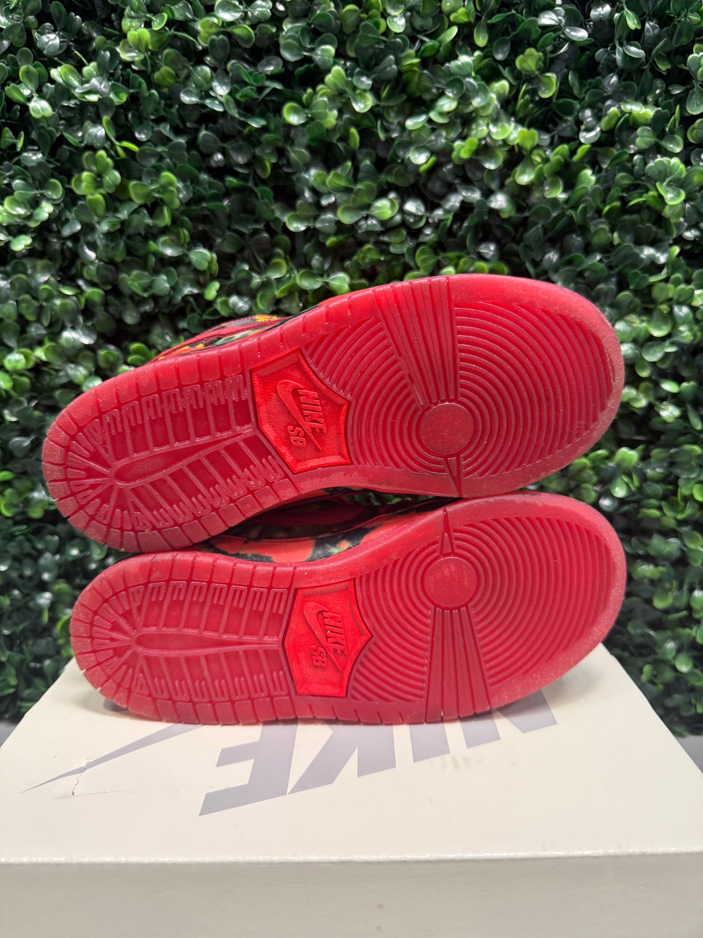 SB Dunk Low "Wizard of Oz" Size 13c Preowned