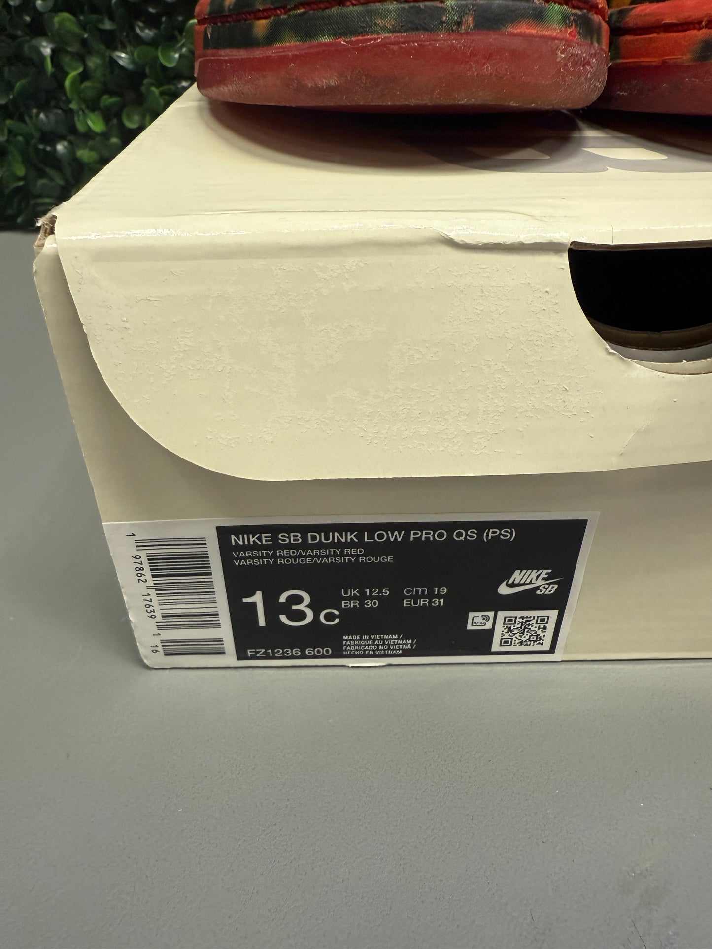 SB Dunk Low "Wizard of Oz" Size 13c Preowned