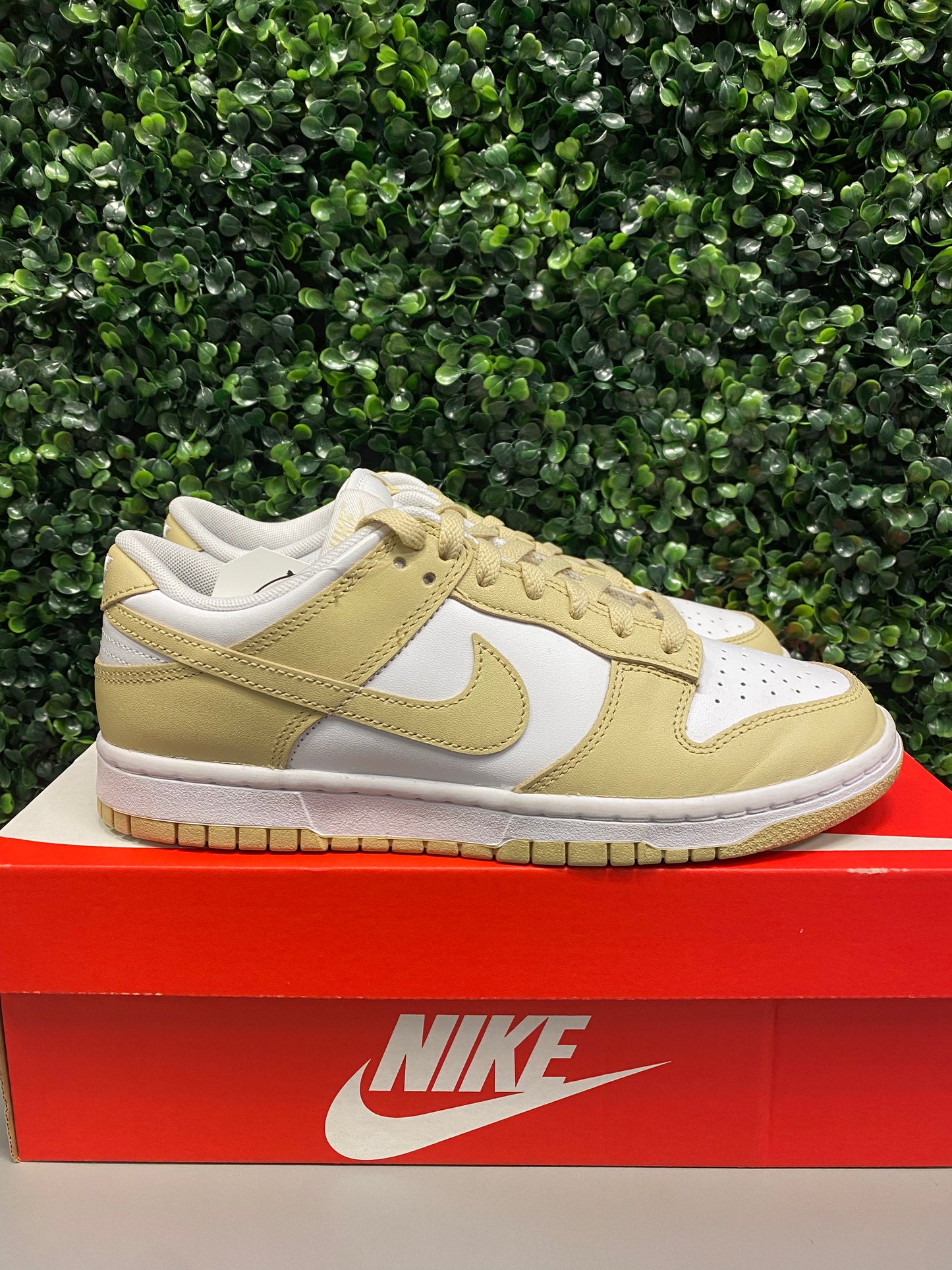 Dunk Low "Team Gold" Size 8 Preowned