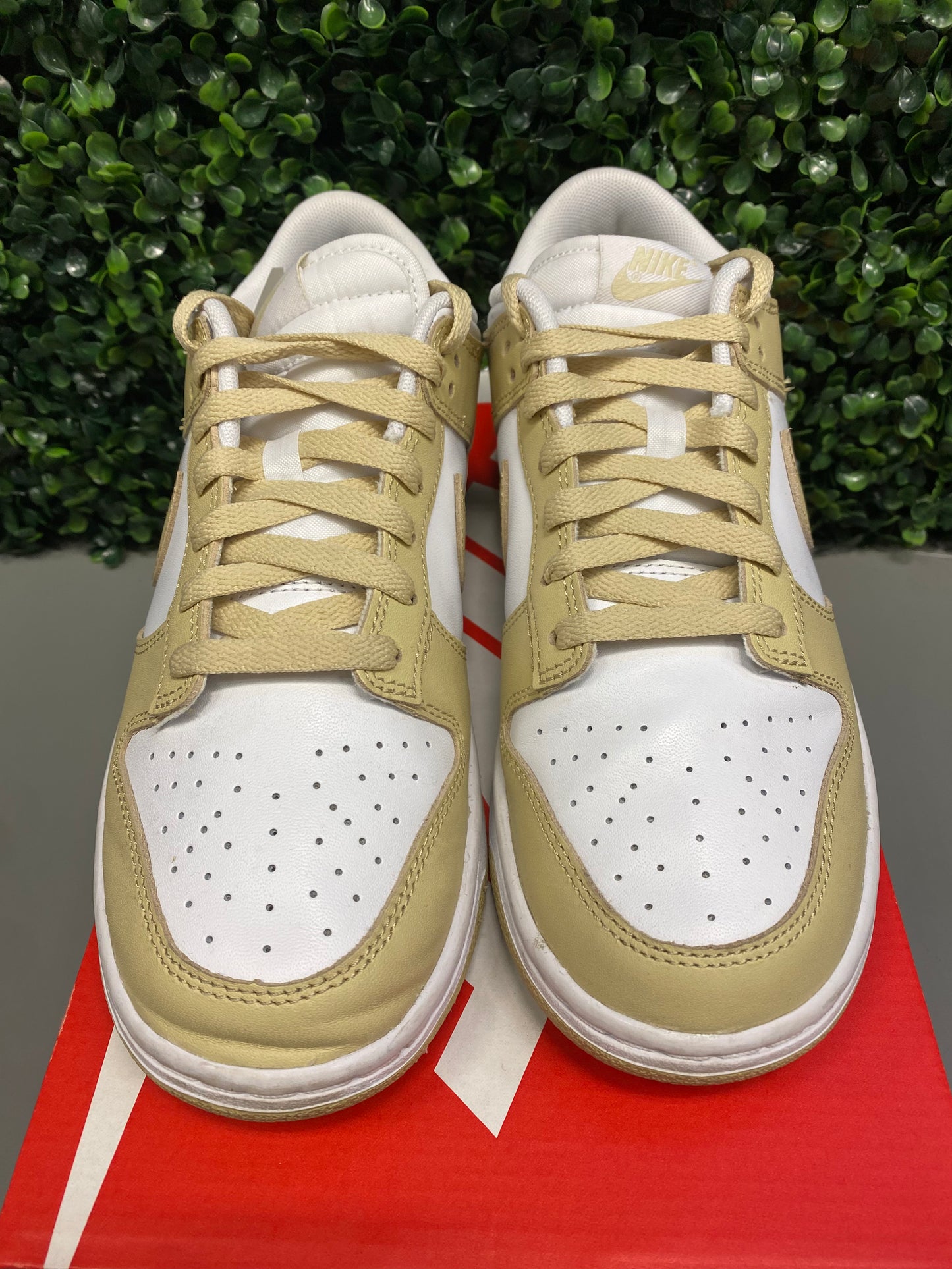 Dunk Low "Team Gold" Size 8 Preowned