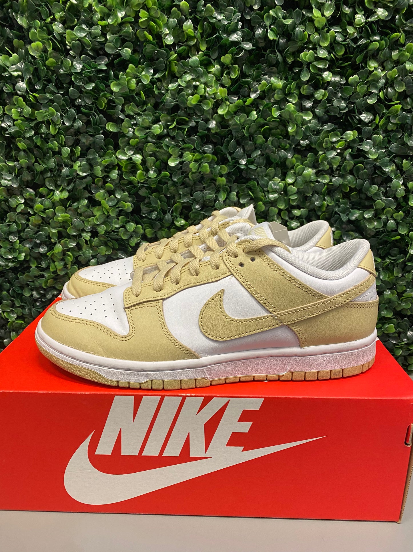 Dunk Low "Team Gold" Size 8 Preowned