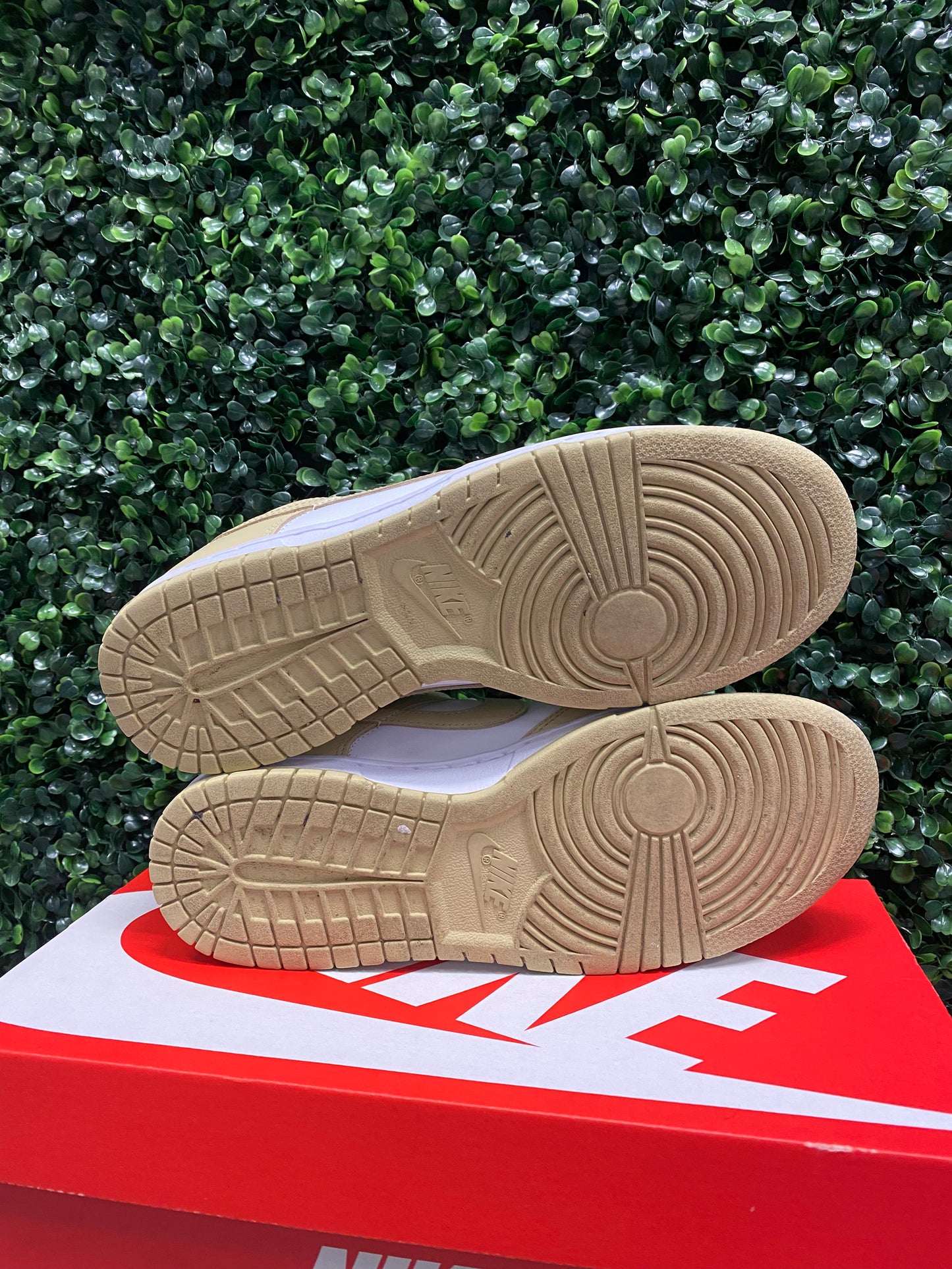 Dunk Low "Team Gold" Size 8 Preowned