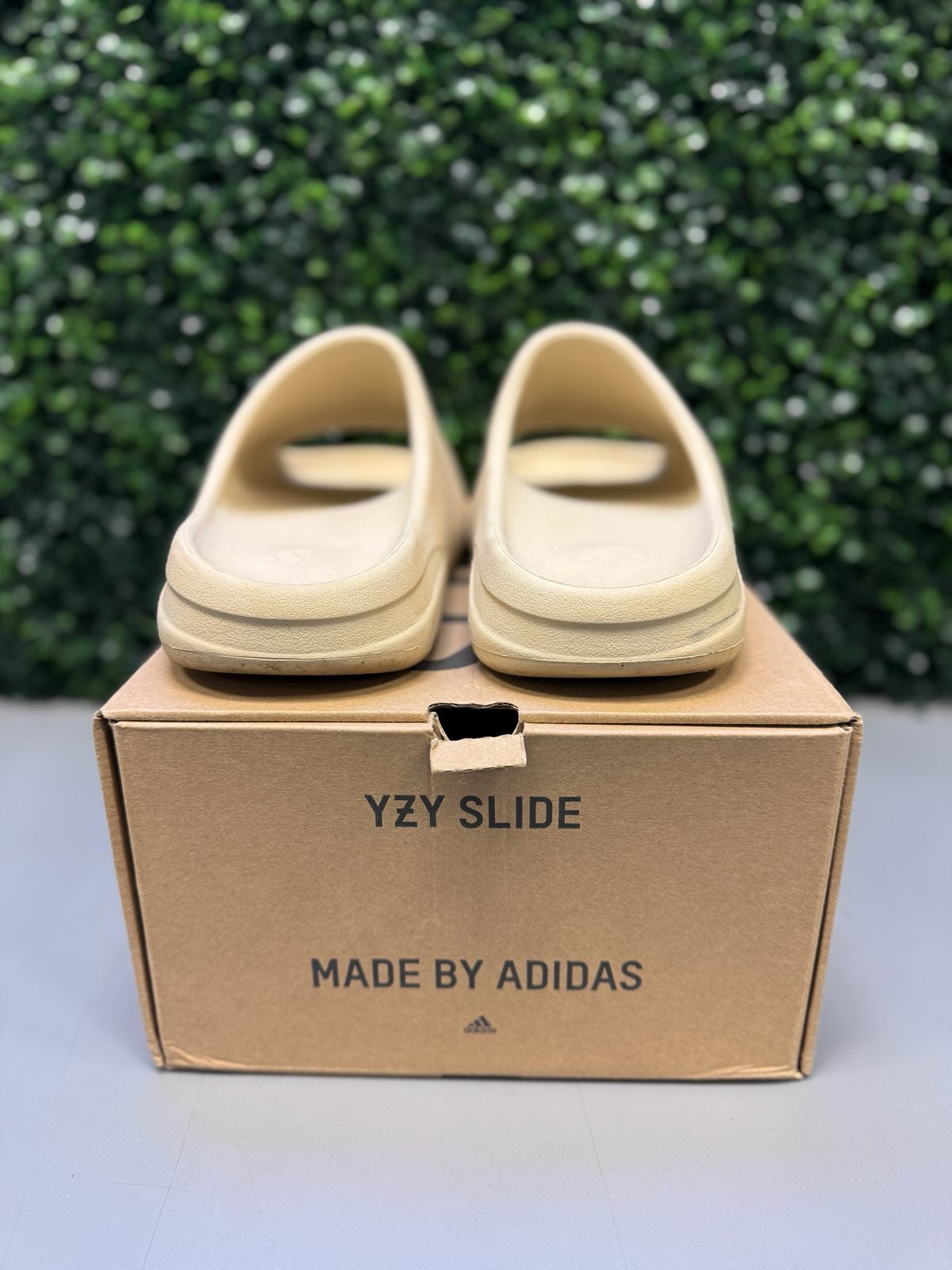 Yeezy Slide "Bone" Size 13 Preowned