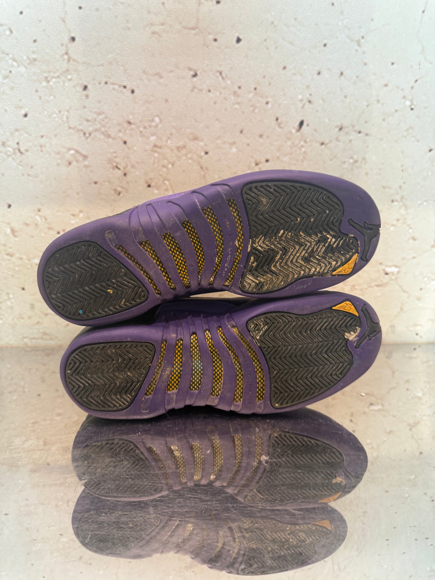 Jordan 12 "Court Purple" Size 6Y Preowned