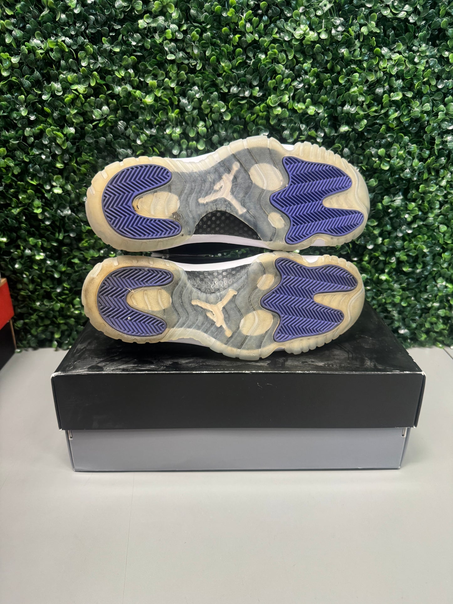 Jordan 11 "Concord" Size 10 Preowned