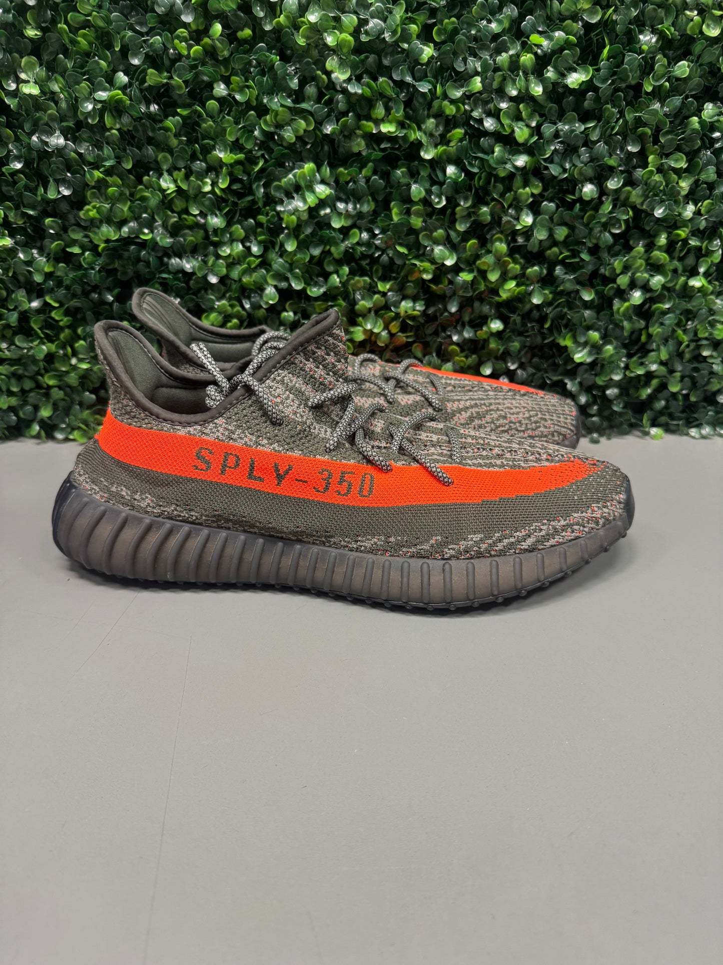 Yeezy 350 V2 "Carbon Beluga" Size 13.5 Preonwed