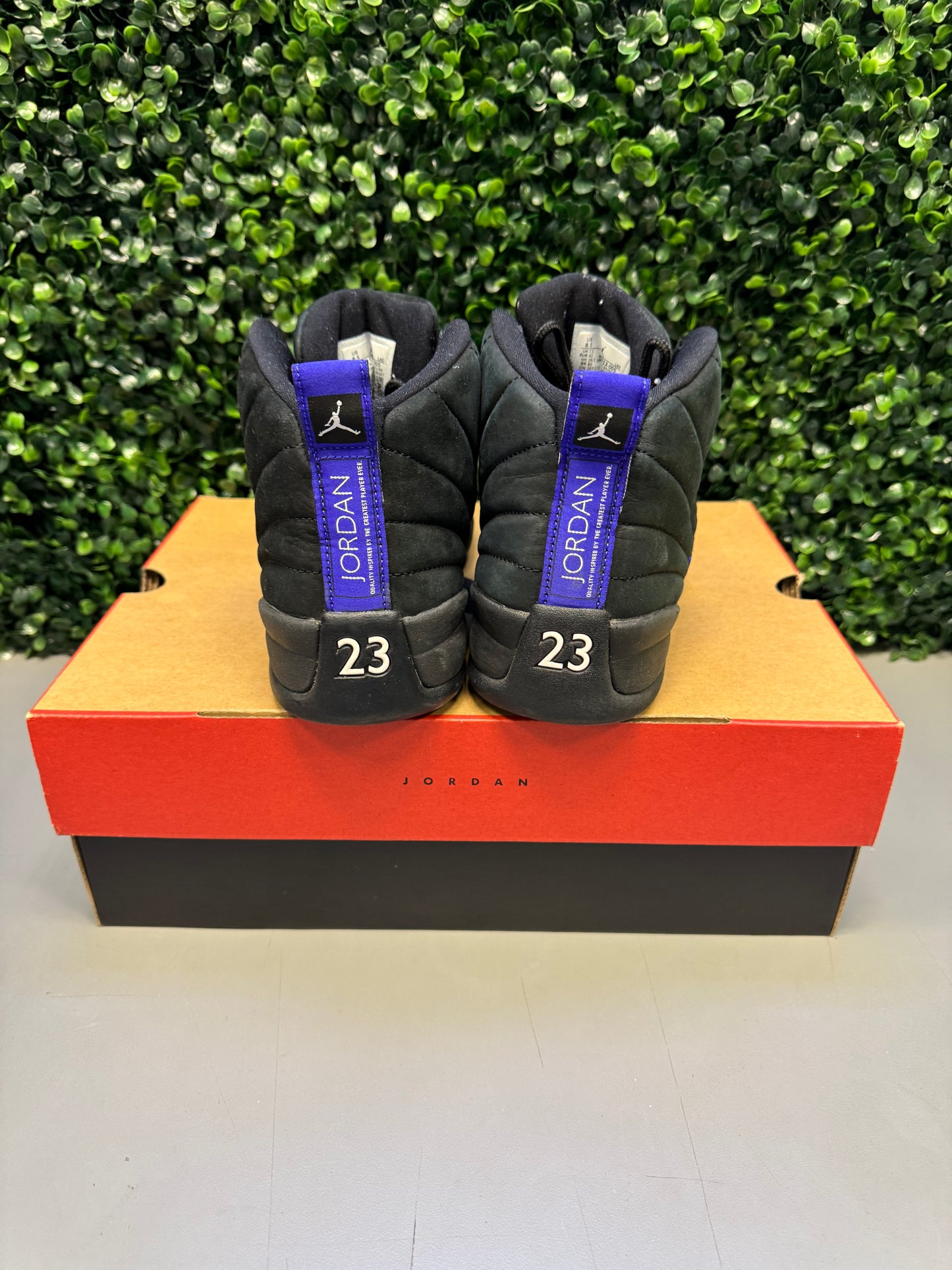 Jordan 12 "Black Dark Concord" Size 8.5 Preowned