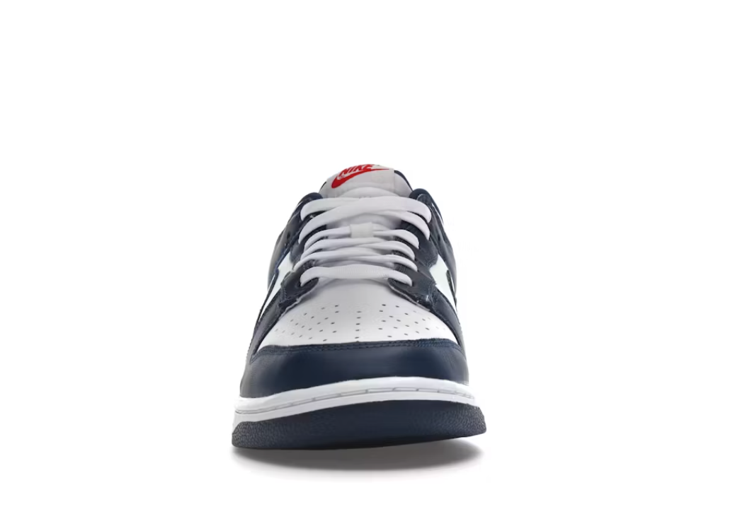 Nike Dunk Low "Valerian Blue"
