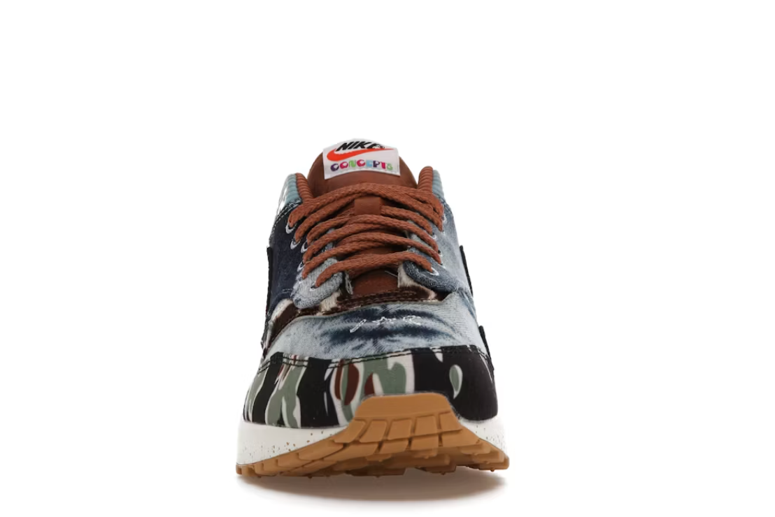 Nike Air Max 1 SP Concepts Heavy