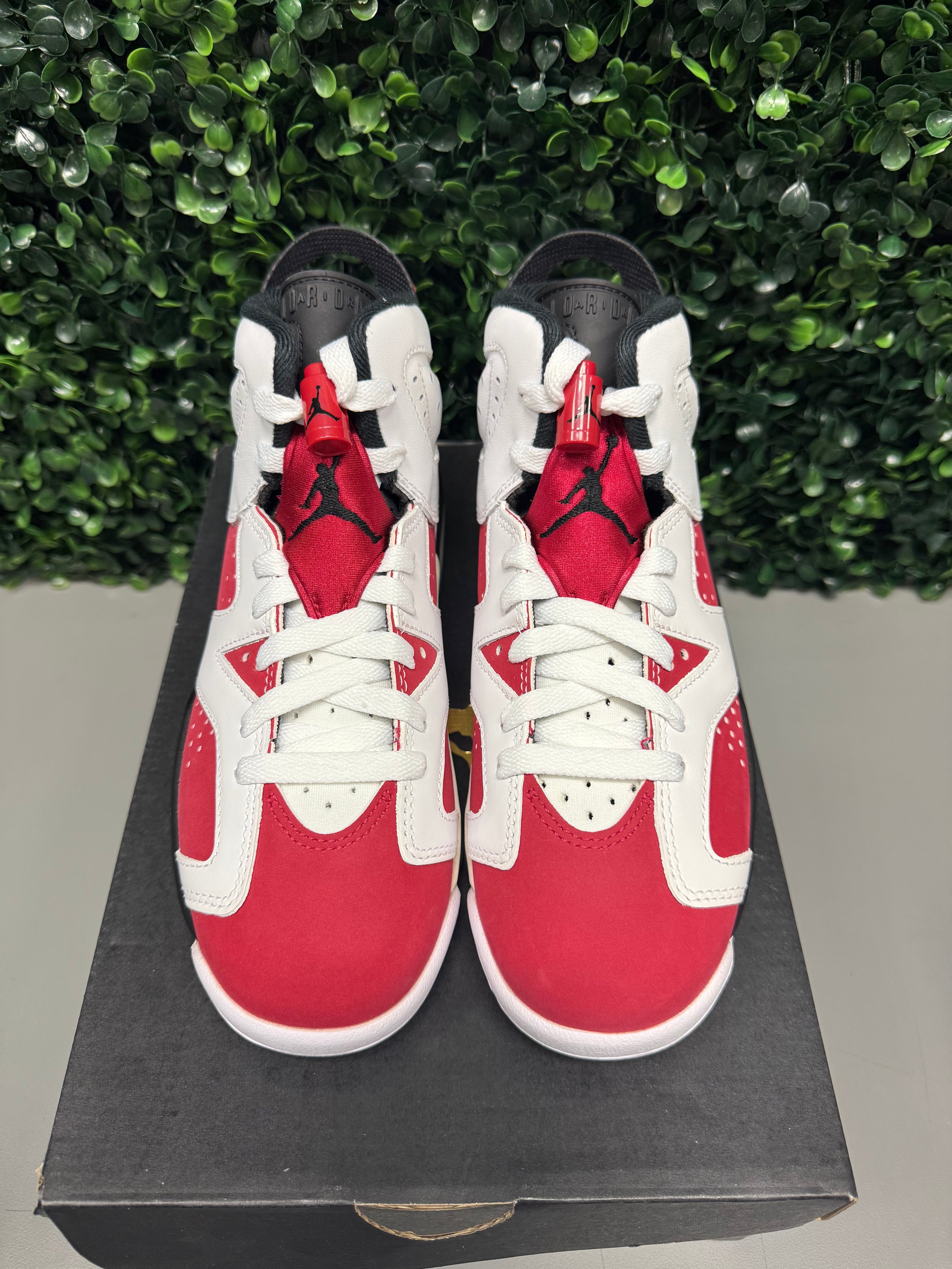 Jordan 6 "Carmine" Size 4Y Brand New