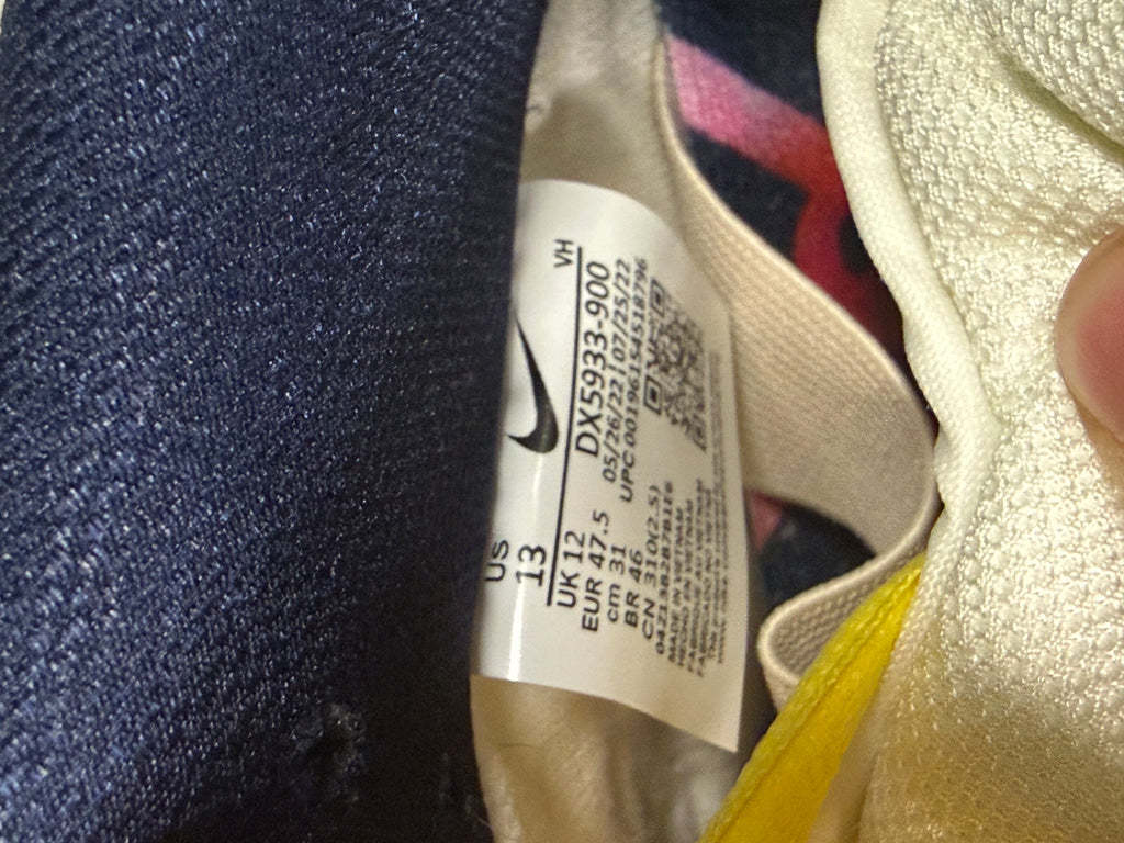 Nike SB Dunk Low "Be True" Size 13 Preowned