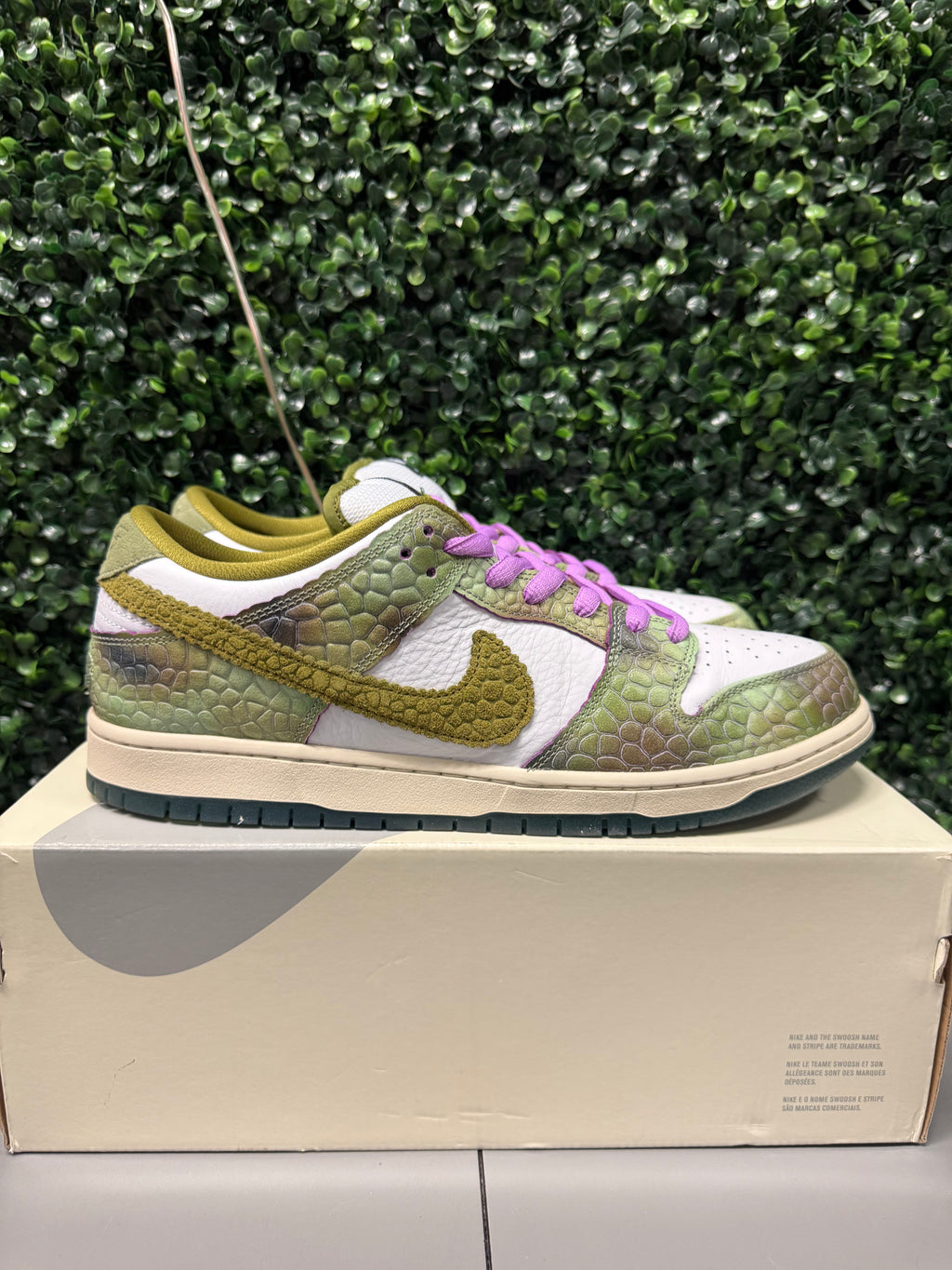 Nike SB Dunk Low "Chameleon" Size 13 Preowned