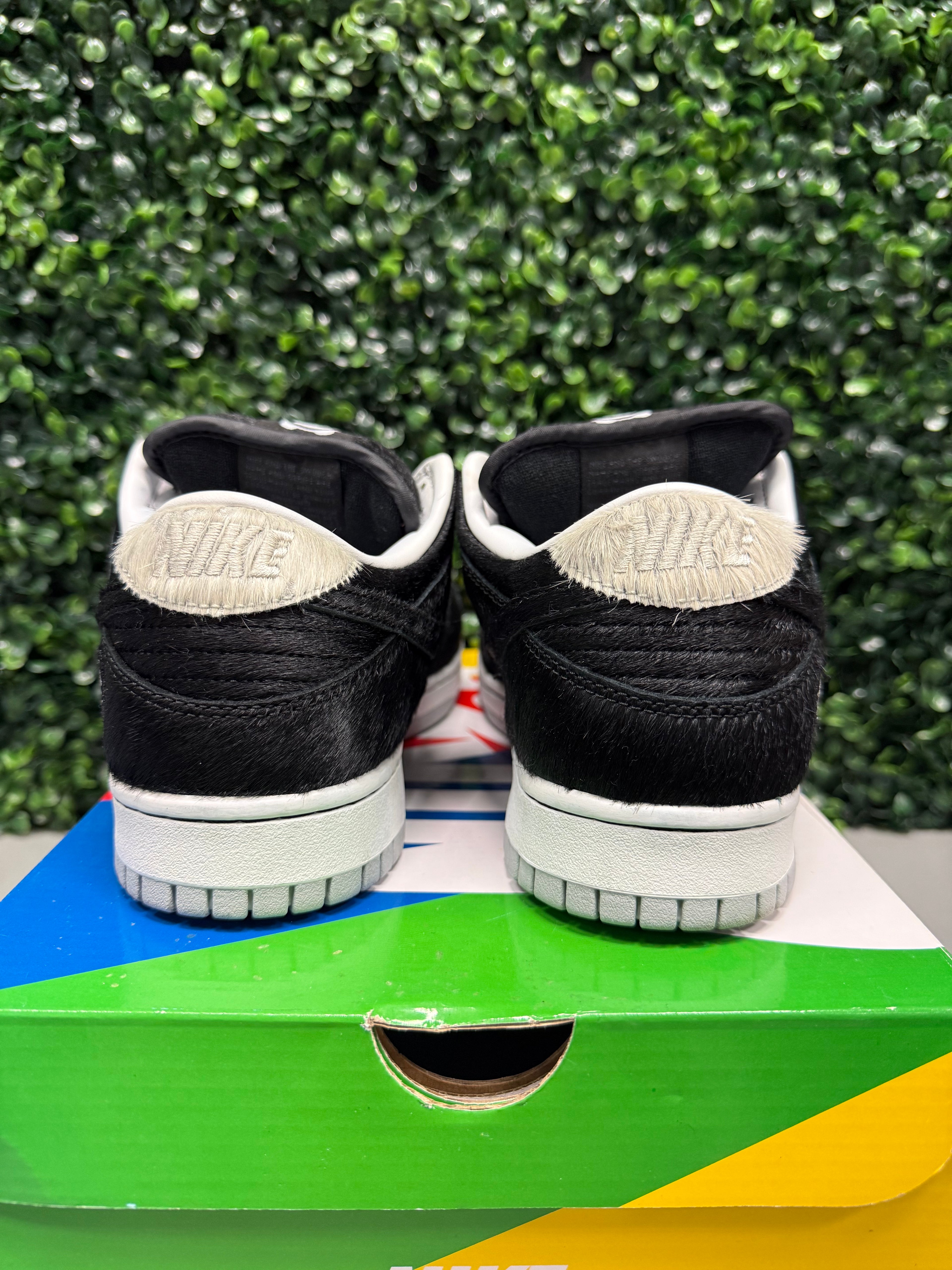 Nike SB Dunk Low "Medicom Toy" Size 10 Preowned