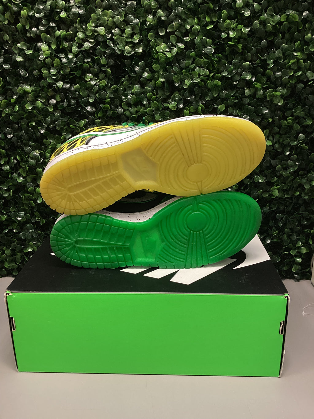 Nike Dunk Low “What The Duck” Size 8 Tried On