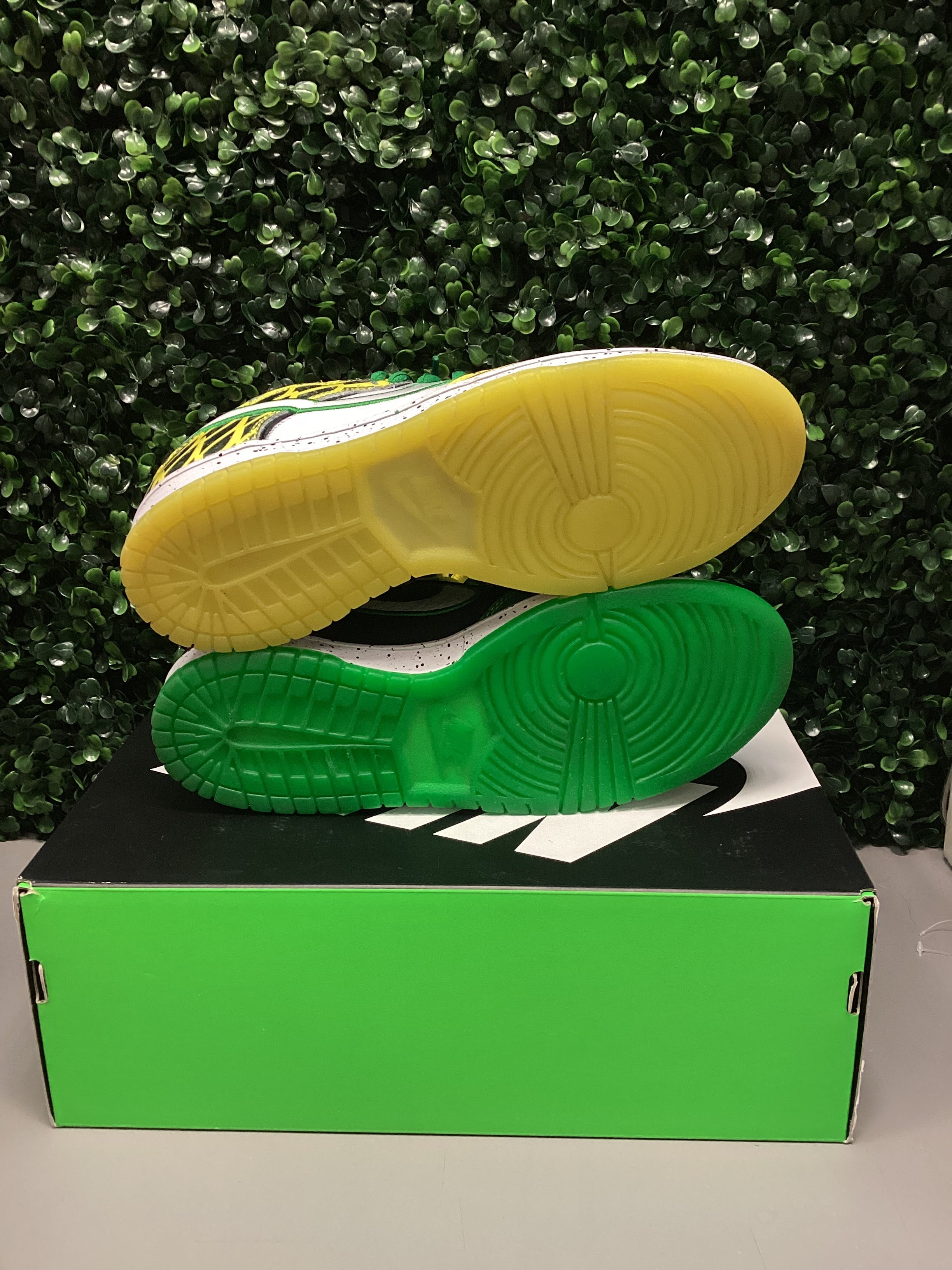 Nike Dunk Low “What The Duck” Size 8 Tried On