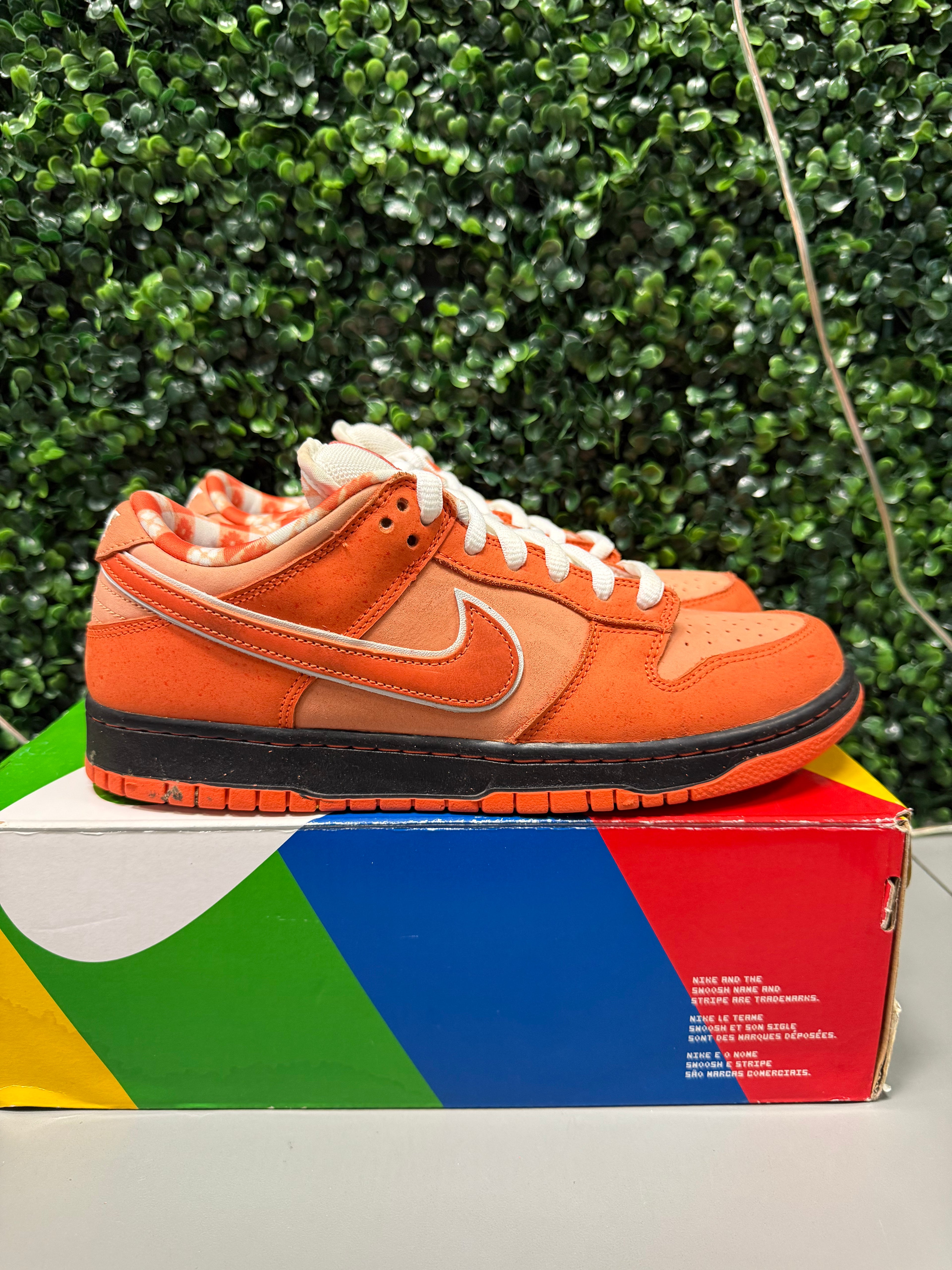 Nike SB Dunk Low "Orange Lobster" Size 9 Preowned