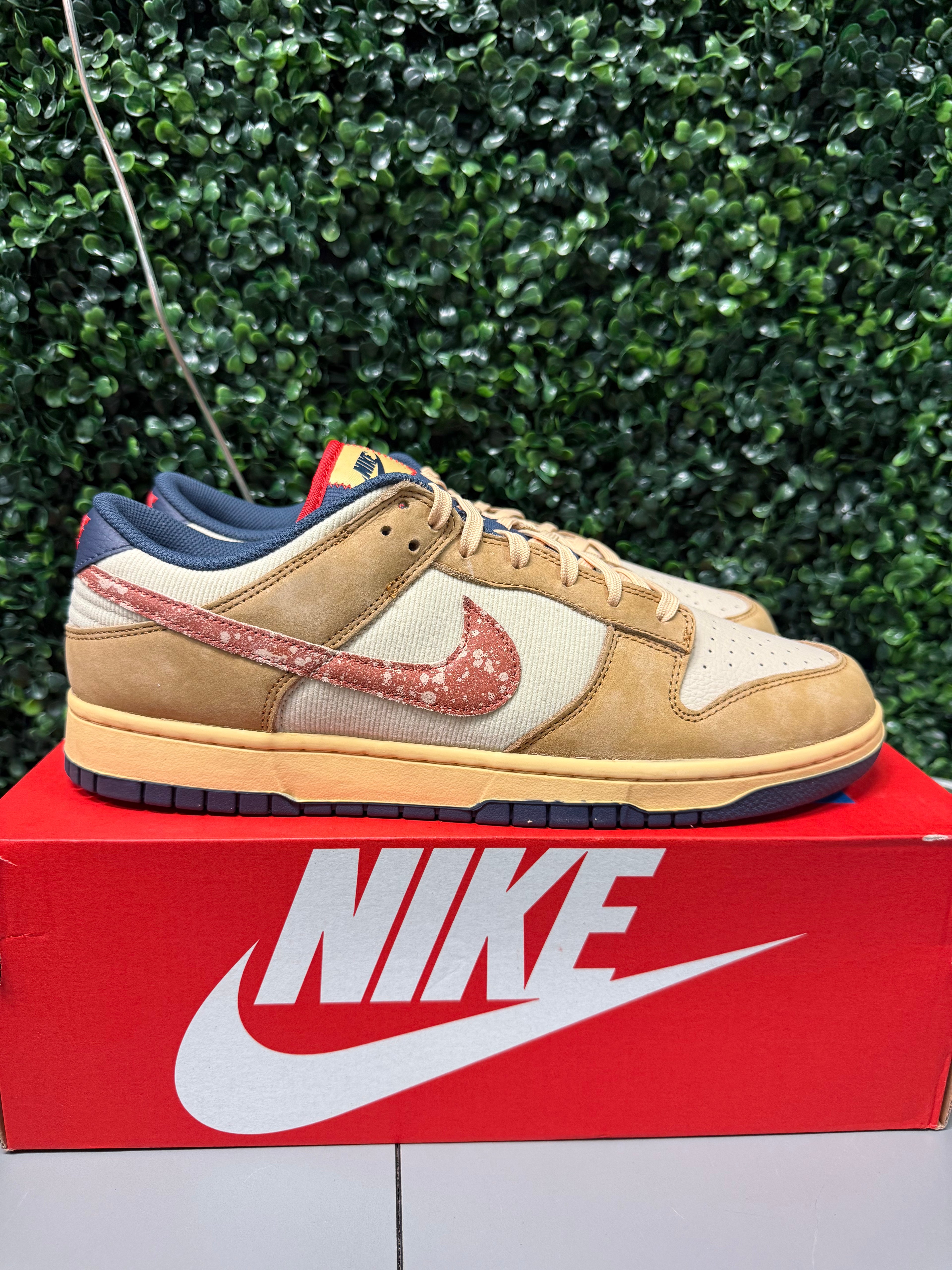Nike Dunk Low "Sketch" Size 13 Preowned