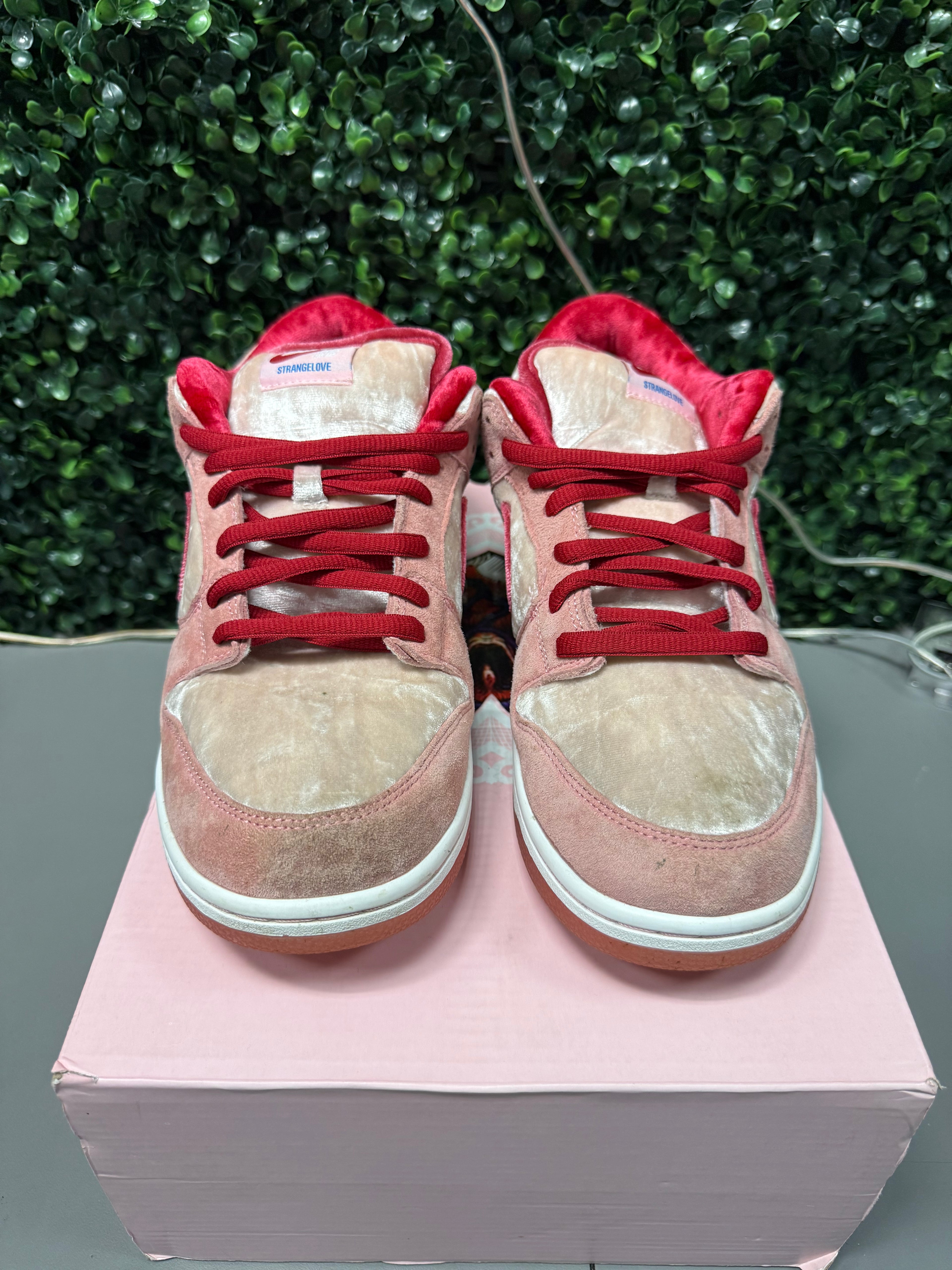 Nike SB Dunk Low "Strange Love" (Special Box) Size 11 Preowned
