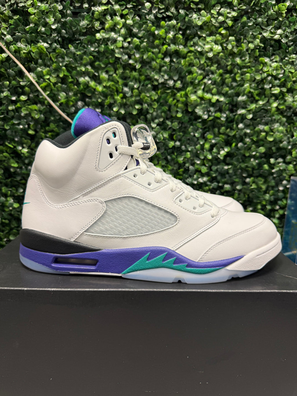 Jordan 5 "Grape" Size 13 Tried On