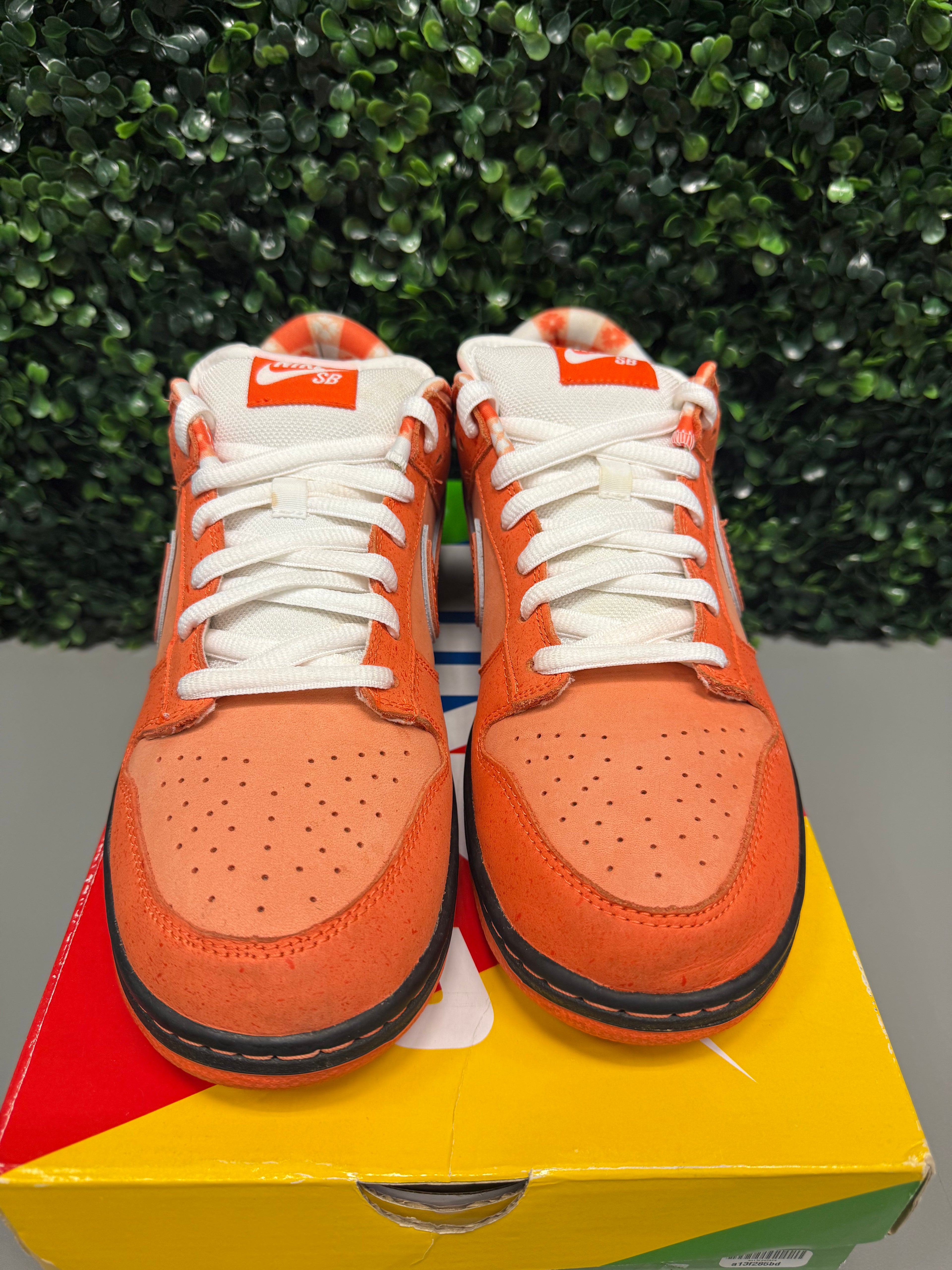 Nike SB Dunk Low "Orange Lobster" Size 10 Preowned