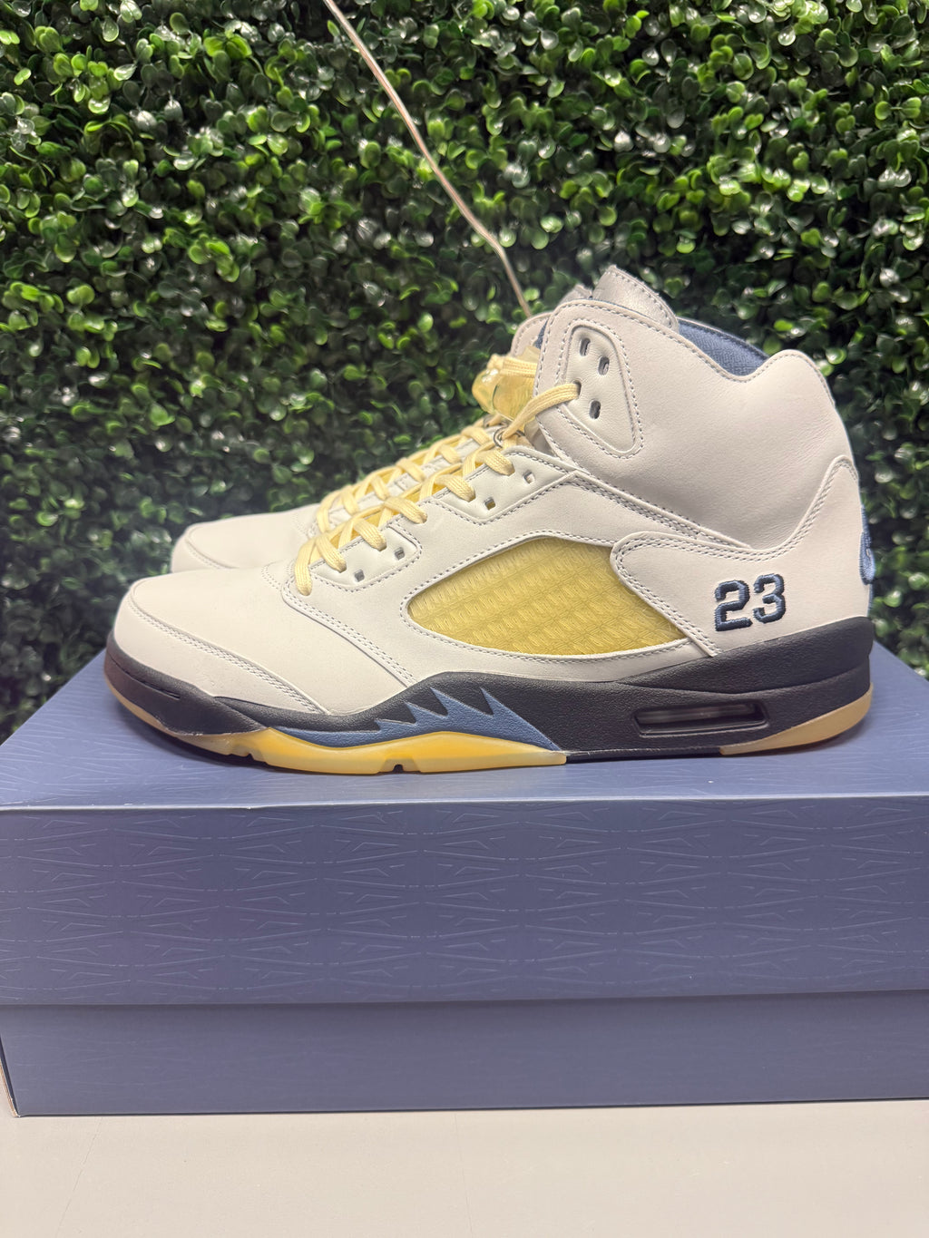 Jordan 5 X A Ma Maniere "Dawn" Size 14.5W / 13M Tried On