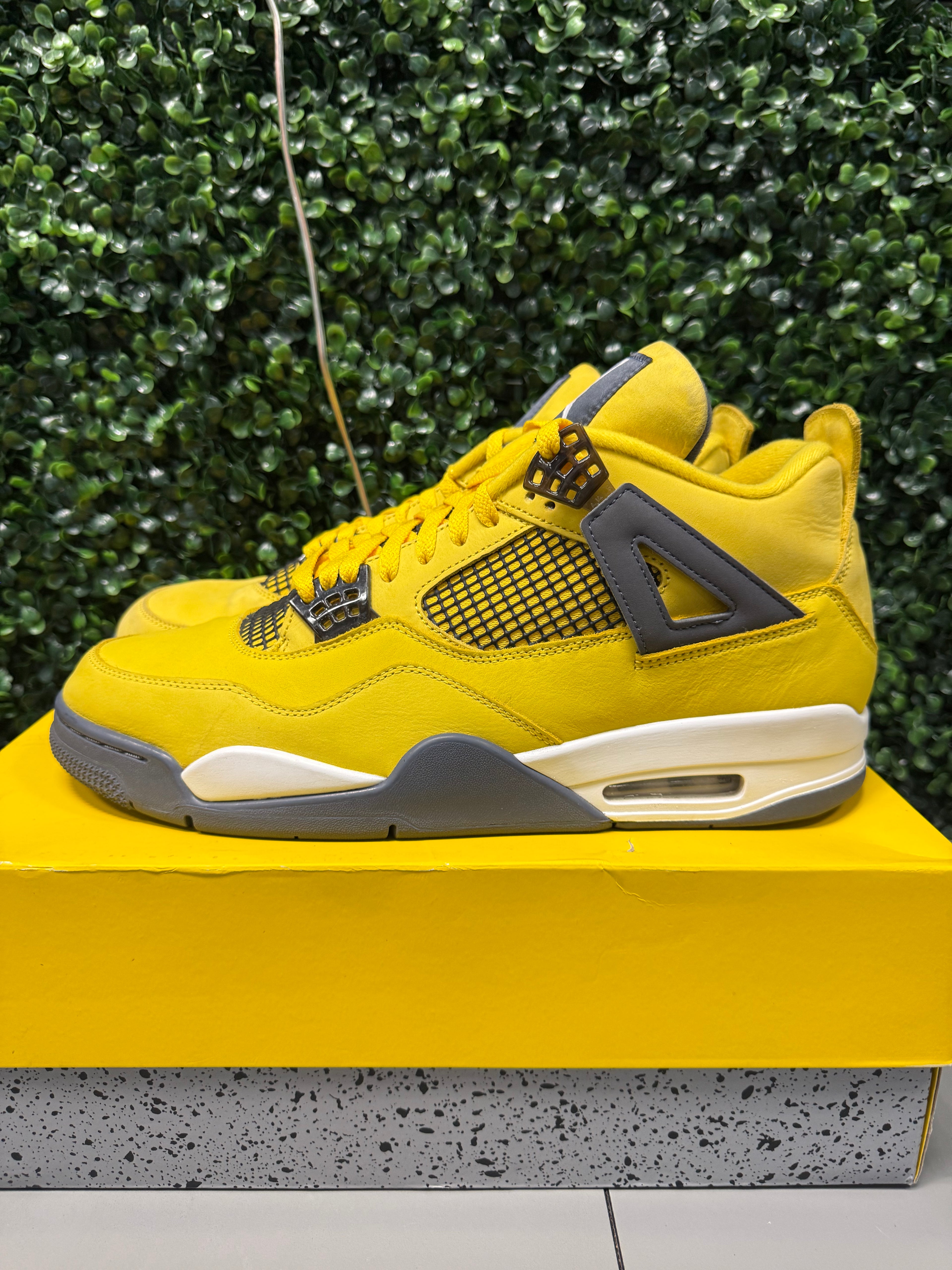 Jordan 4 "Lightning" Size 14 Preowned