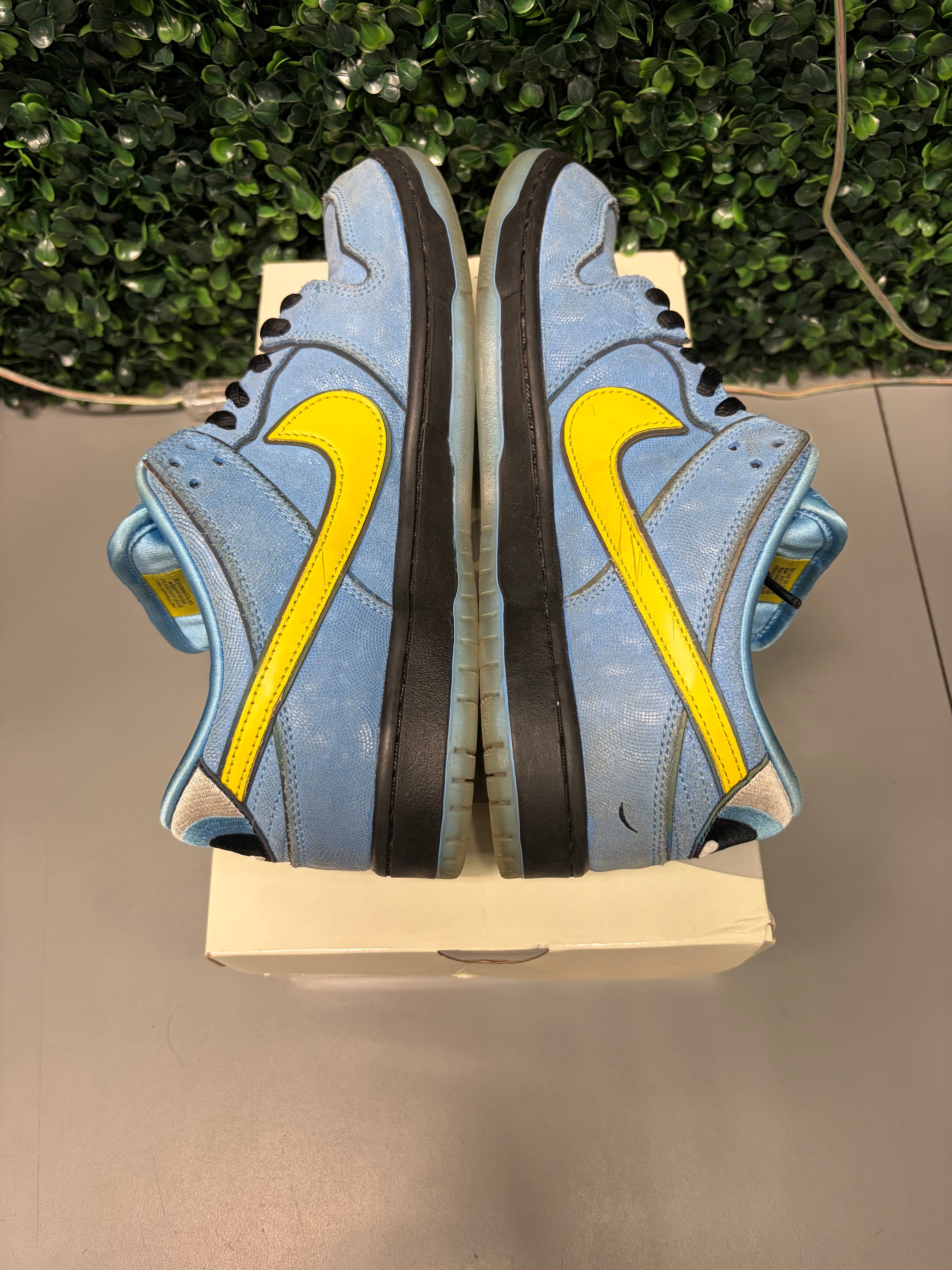 Nike SB Dunk Low "The Powerpuff Girls Bubbles" Size 9 Preowned