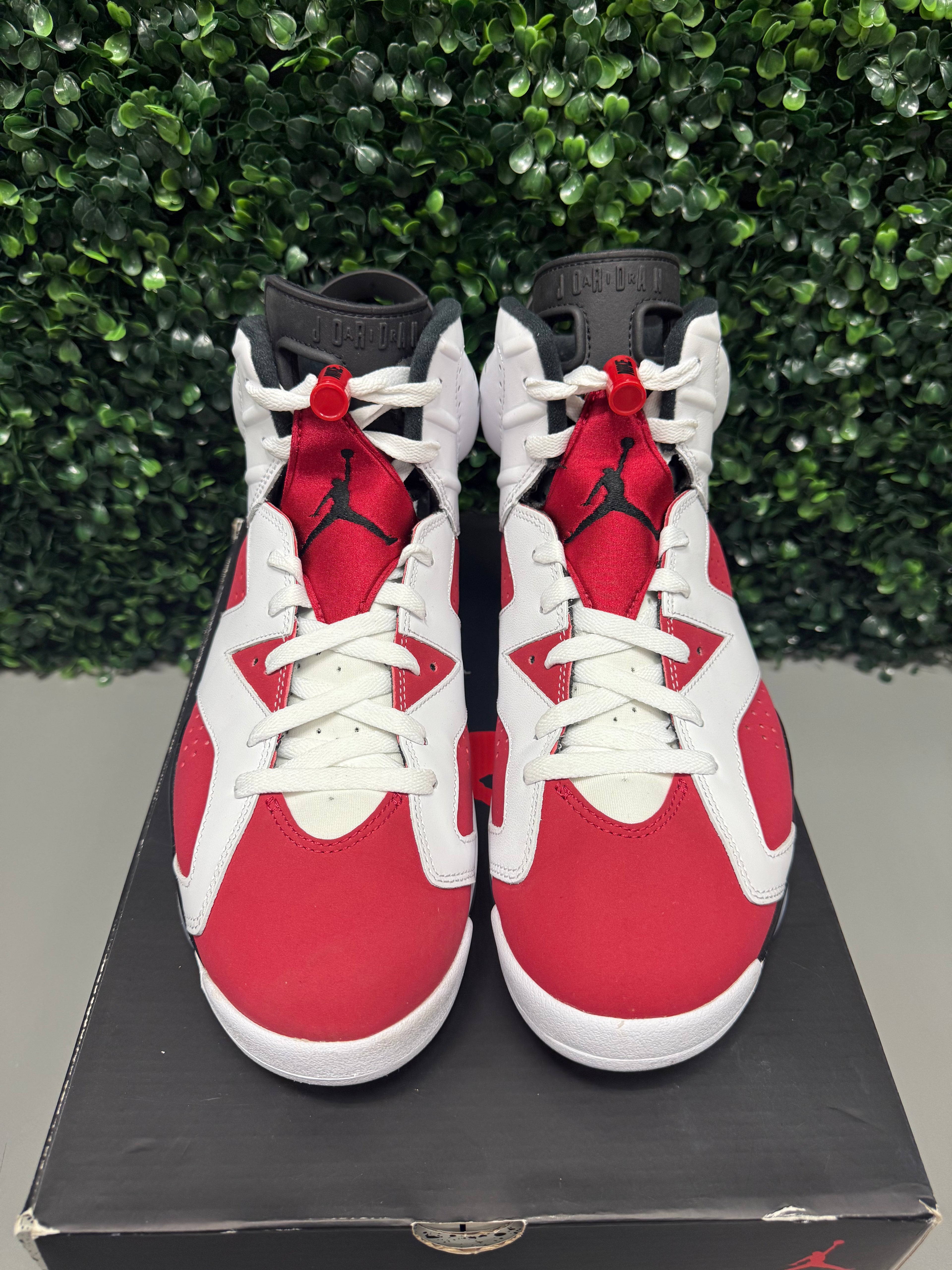 Jordan 6 "Carmine" Size 10.5 Preowned