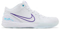 Nike Kobe 4 Protro "Draft Day Pack Charlotte Hornets"