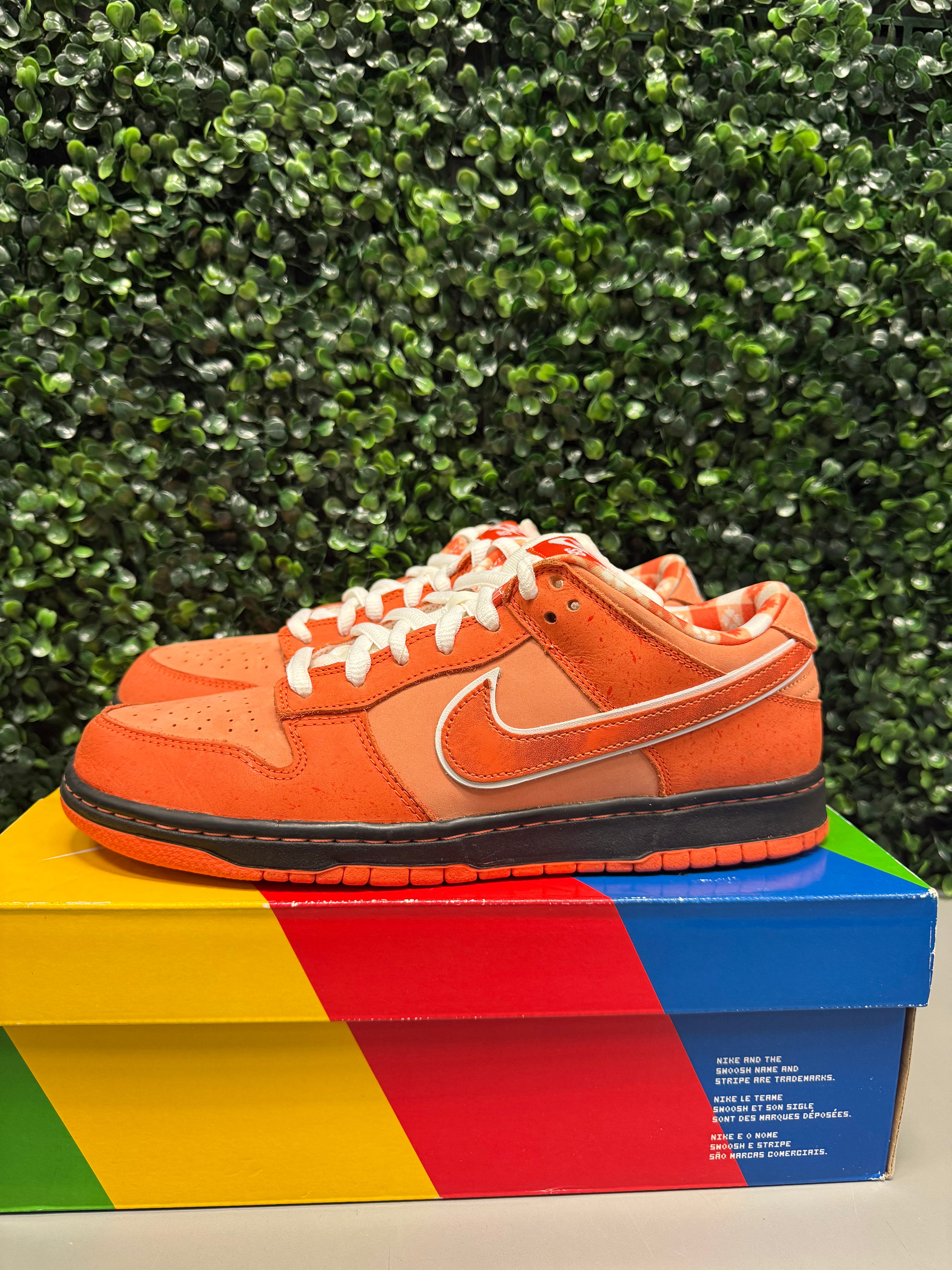 Nike SB Dunk Low "Orange Lobster" Size 10 Preowned