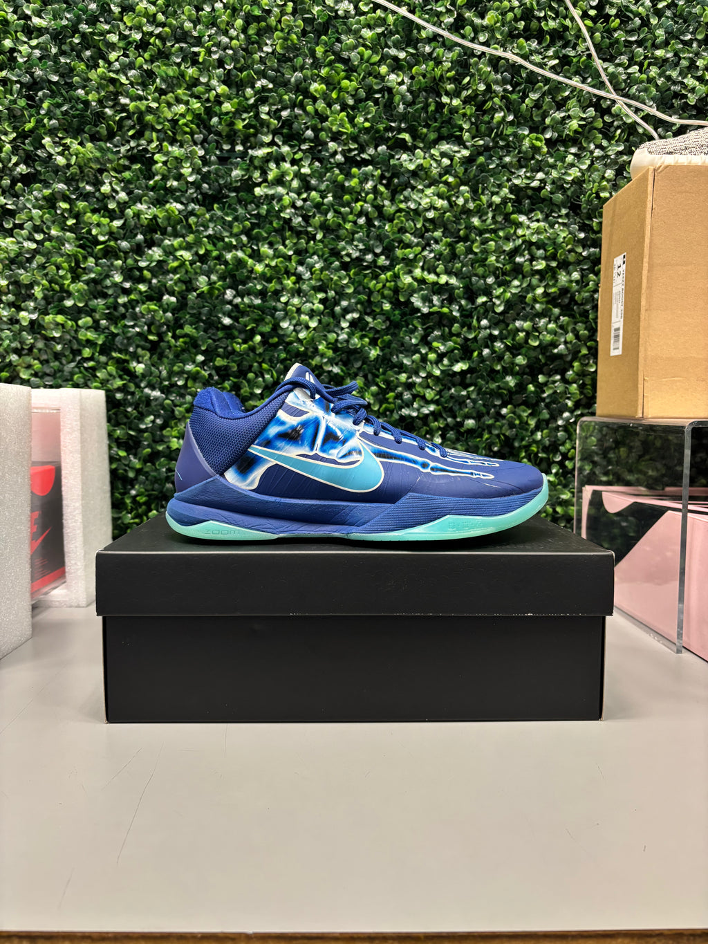 Nike Kobe 5 Protro "X-Ray" Size 7.5 Preowned