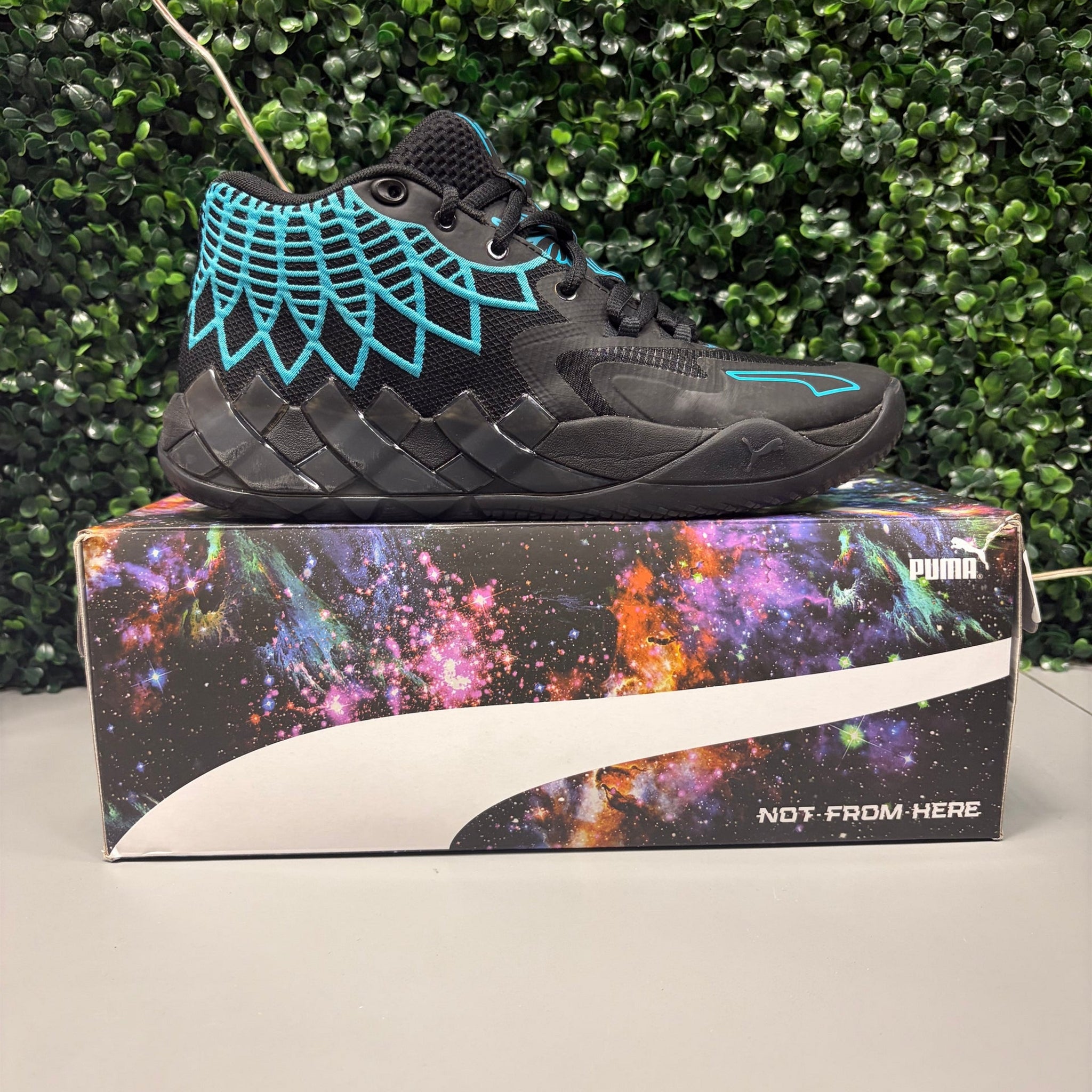 MB.01 "Buzz City" Size 8.5 Preowned