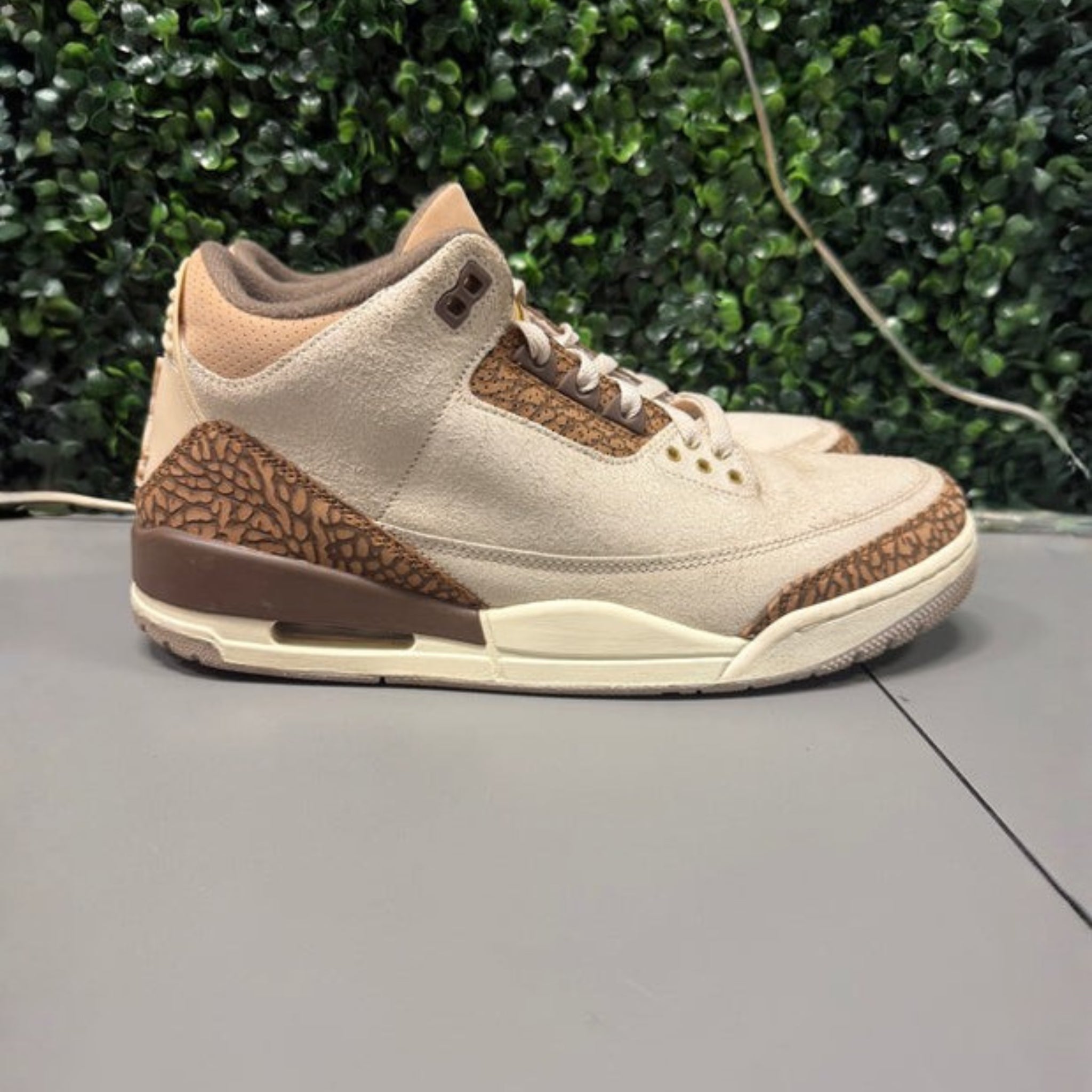 Jordan 3 "Palomino" Size 10.5 Preowned
