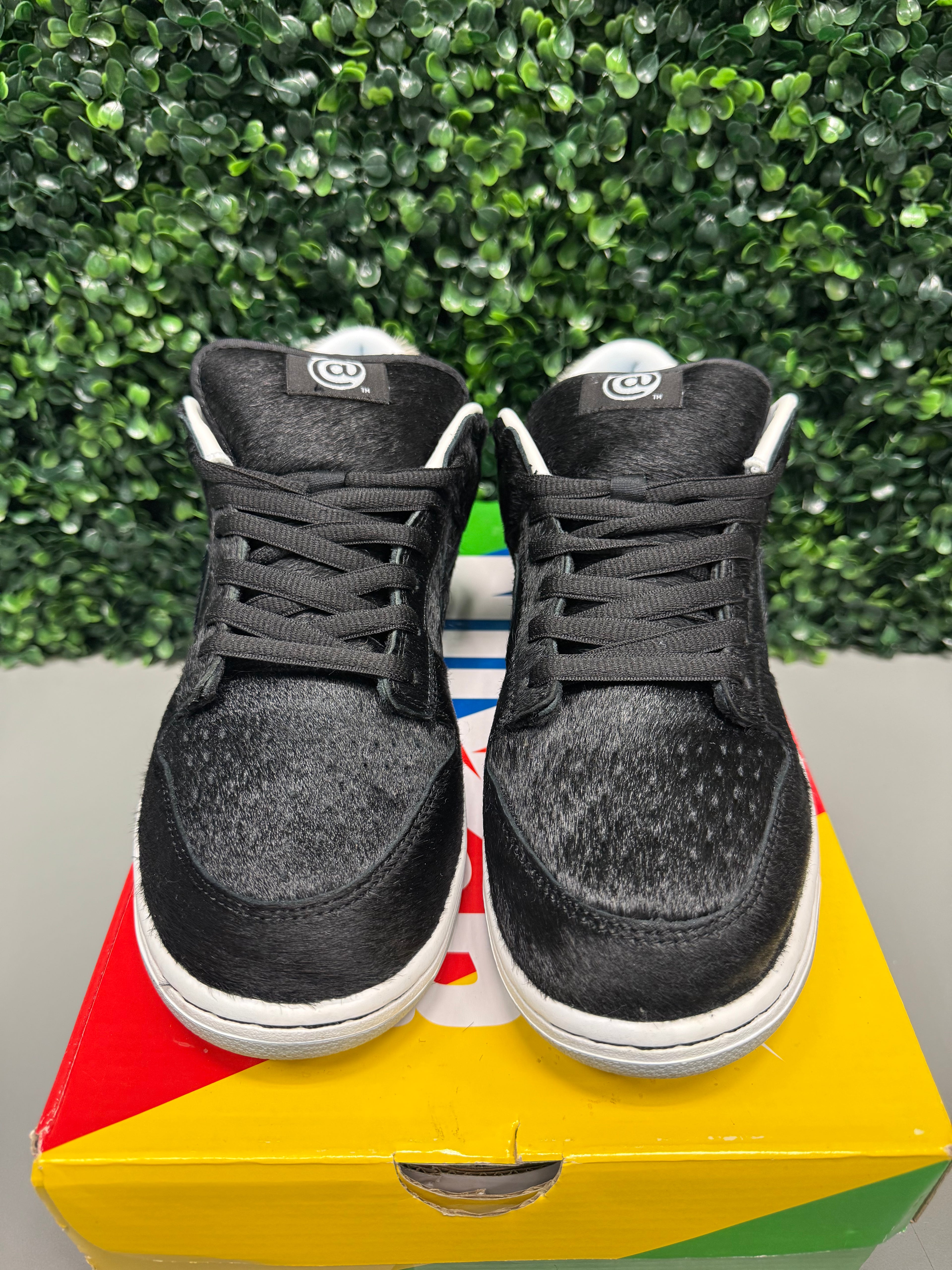 Nike SB Dunk Low "Medicom Toy" Size 10 Preowned