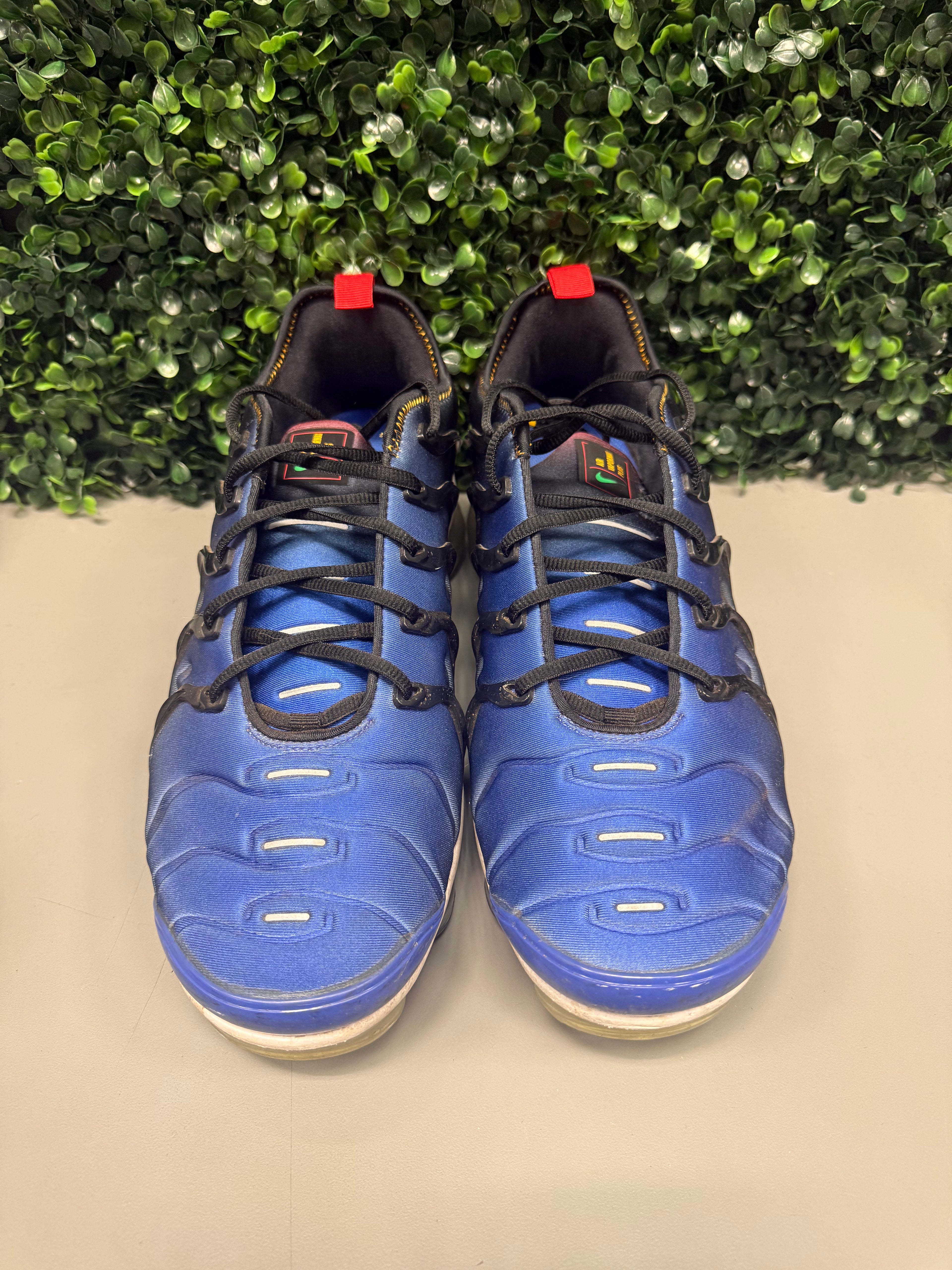 Nike Air VaporMax Plus “LTPT”  Size 12 Preowned