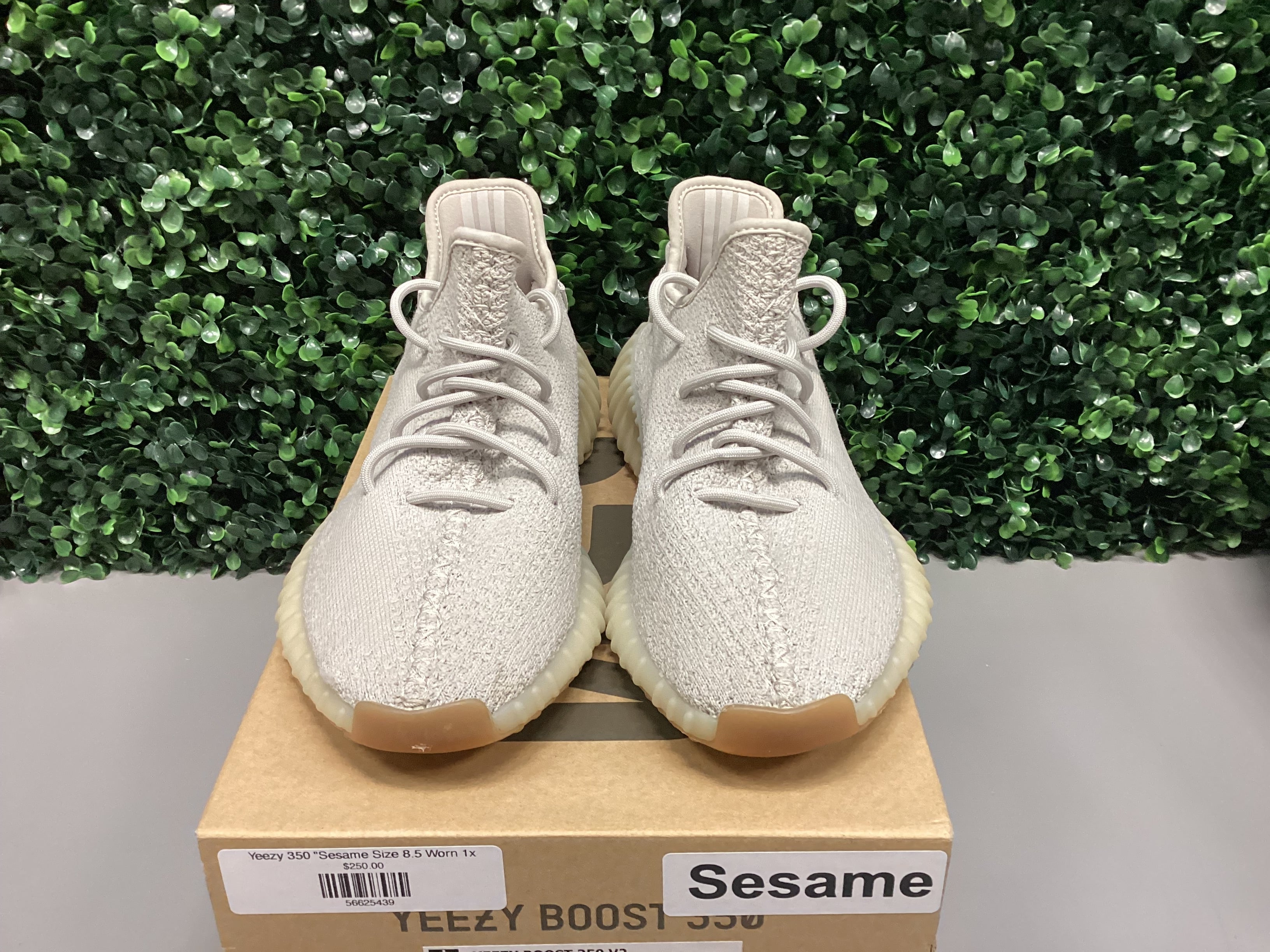 Yeezy 350 V2 “Sesame” Size 8.5 Preowned 1/2 $75/$150 PAID