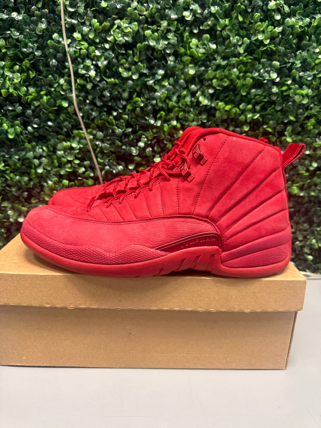 Jordan 12 "Gym Red" Size 11.5 Preowned