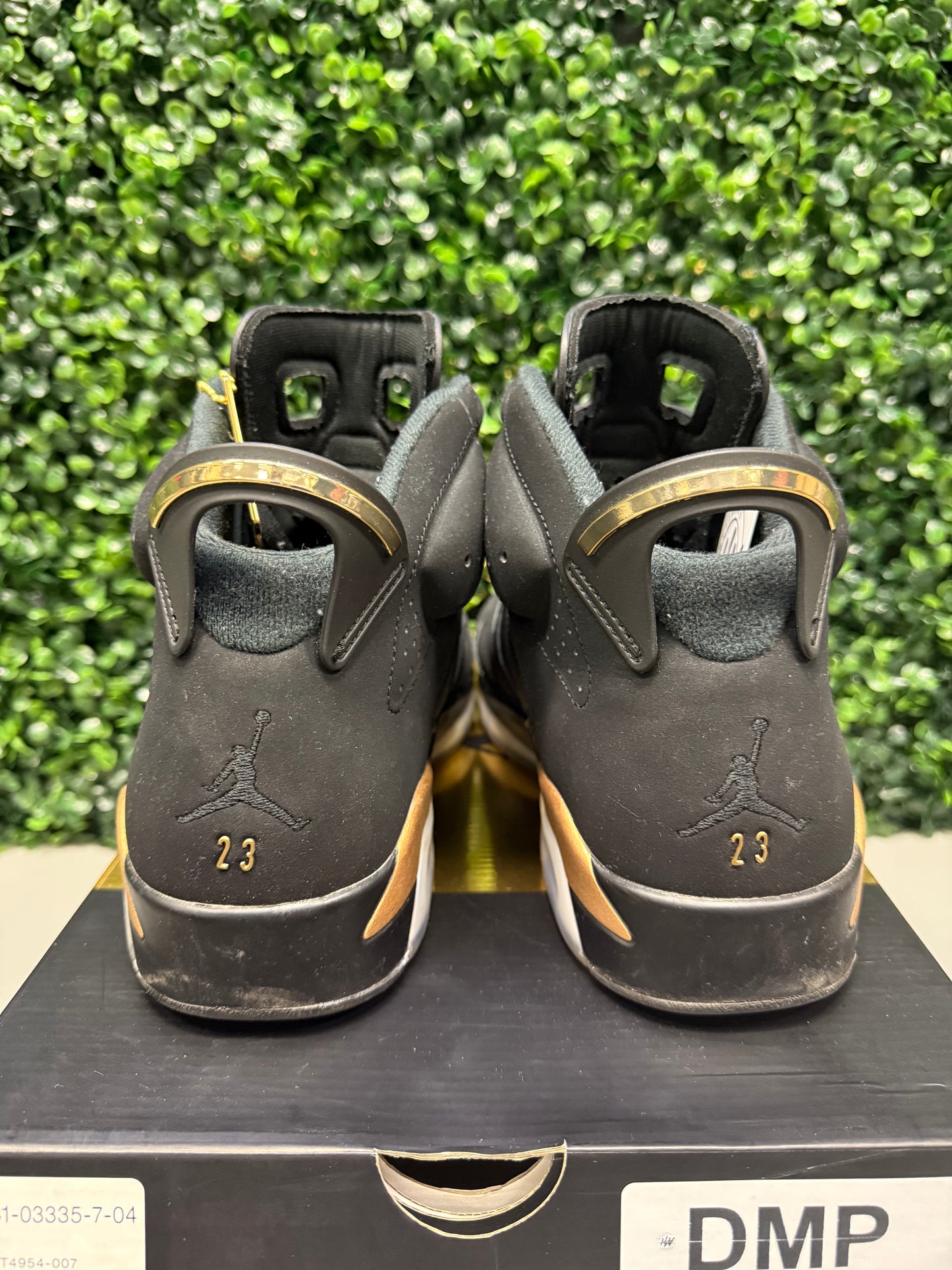 Jordan 6 "DMP" Size 10.5 Preowned