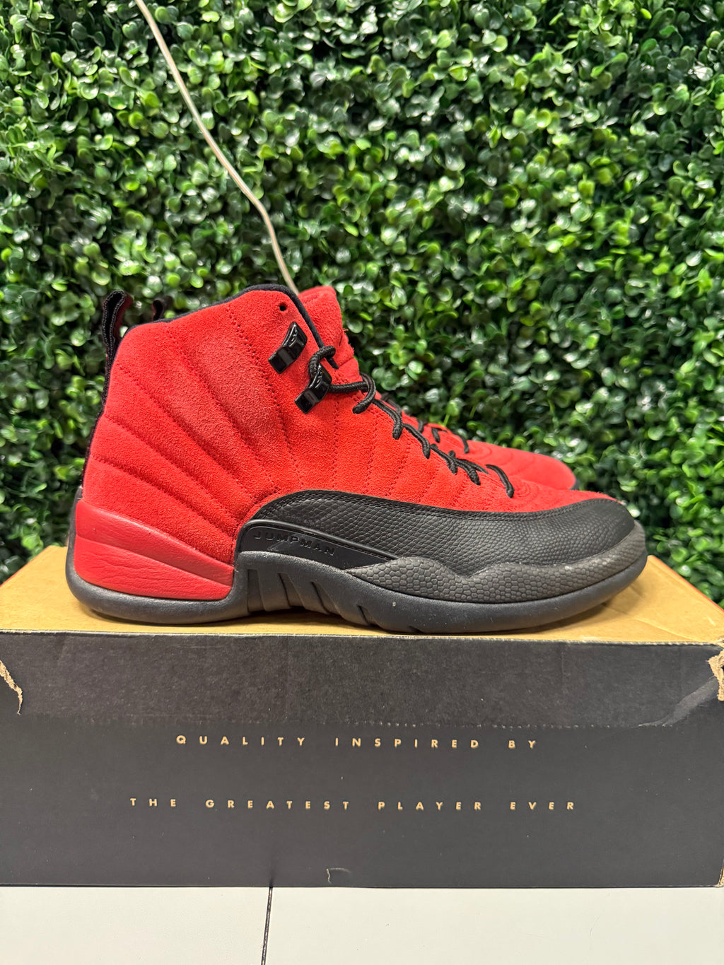 Jordan 12 "Reverse Flu Game" Size 9.5 Preowned