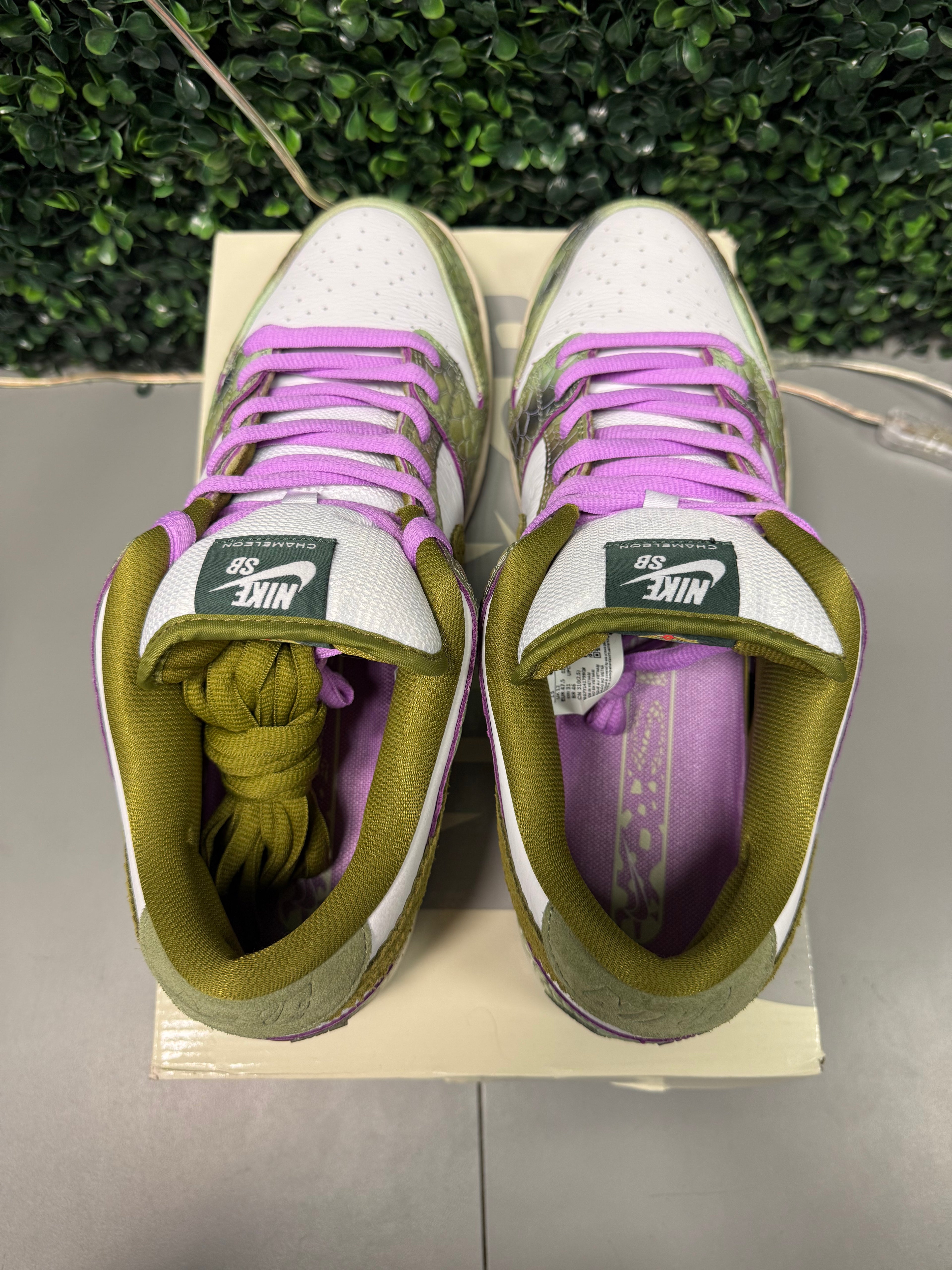 Nike SB Dunk Low "Chameleon" Size 13 Preowned