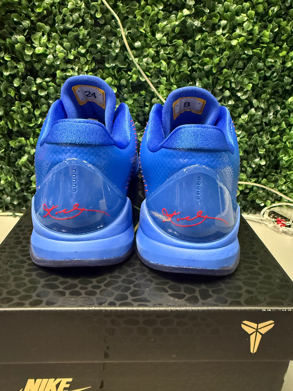 Nike Kobe 5 Protro "Dodgers" Size 9.5 Preowned