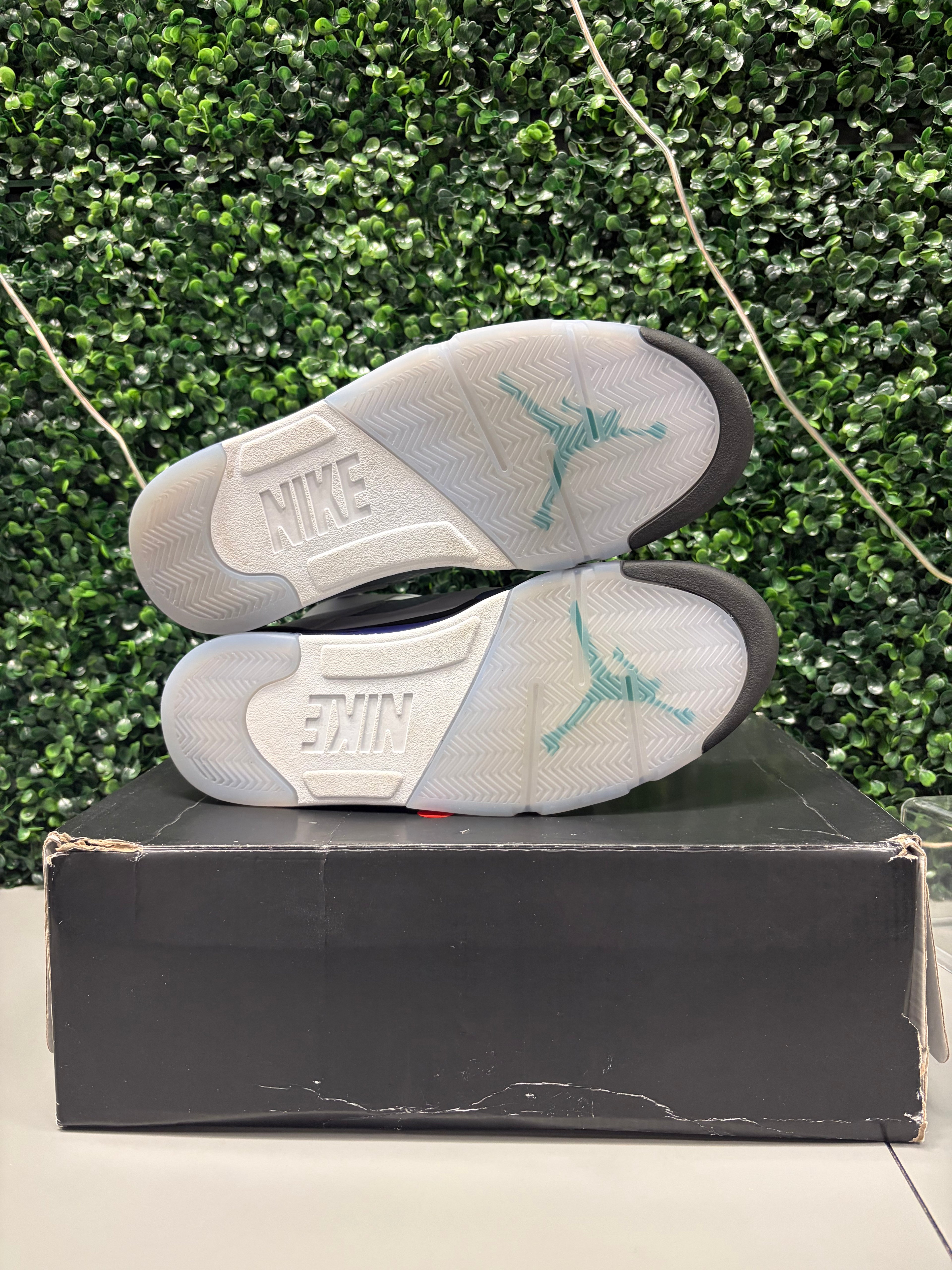 Jordan 5 Retro "Grape" Size 10.5 Preowned